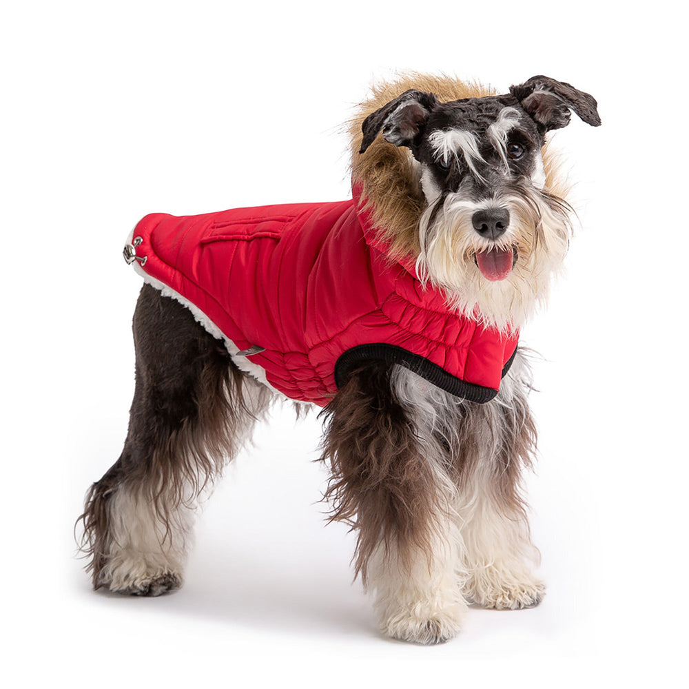 GF PET® Urban Dog Parka – Water-Resistant Winter Coat with Elasto-Fit® - Red