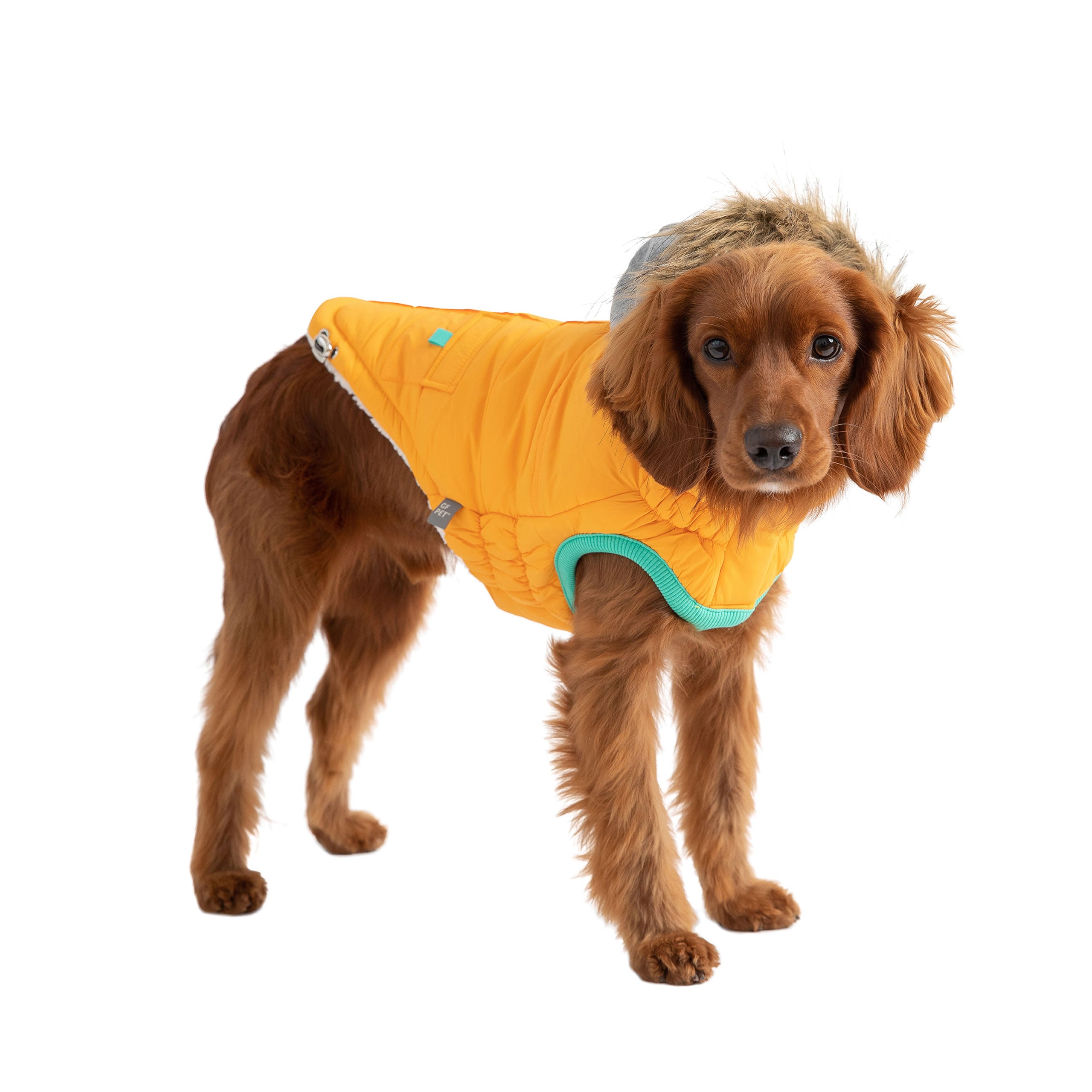GF PET® Winter Yellow Sailor Parka – Warm, Water-Repellent Dog Coat with Sherpa Lining