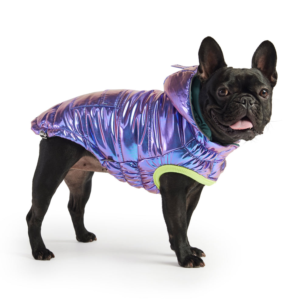 Eco-Friendly Dog Parka – Recycled, Water-Resistant Cold with with Elasto-Fit®