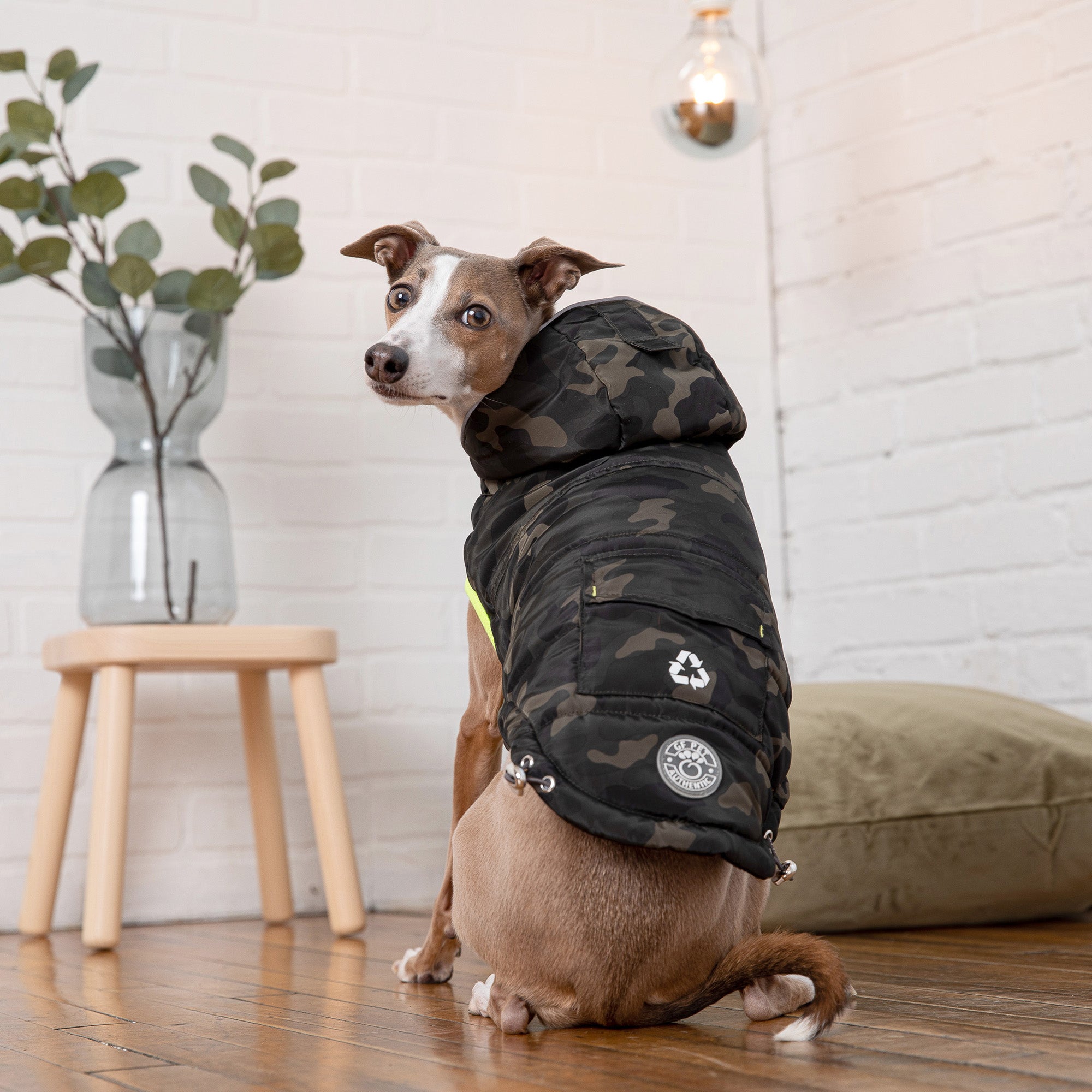 GF Pet Recycled Parka | Eco-Friendly Cold-Weather Dog Coat ๐ฟ