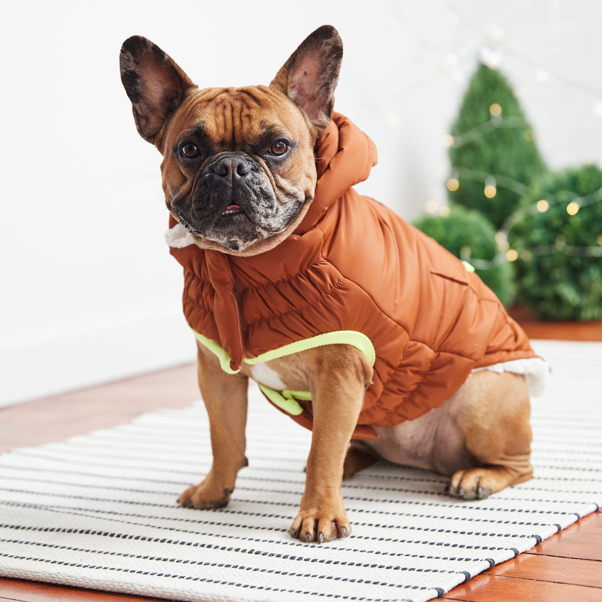 GF PET® Elasto-FIT® Puff Parka – Hazel, Ultra-Warm & Water-Repellent Dog Coat