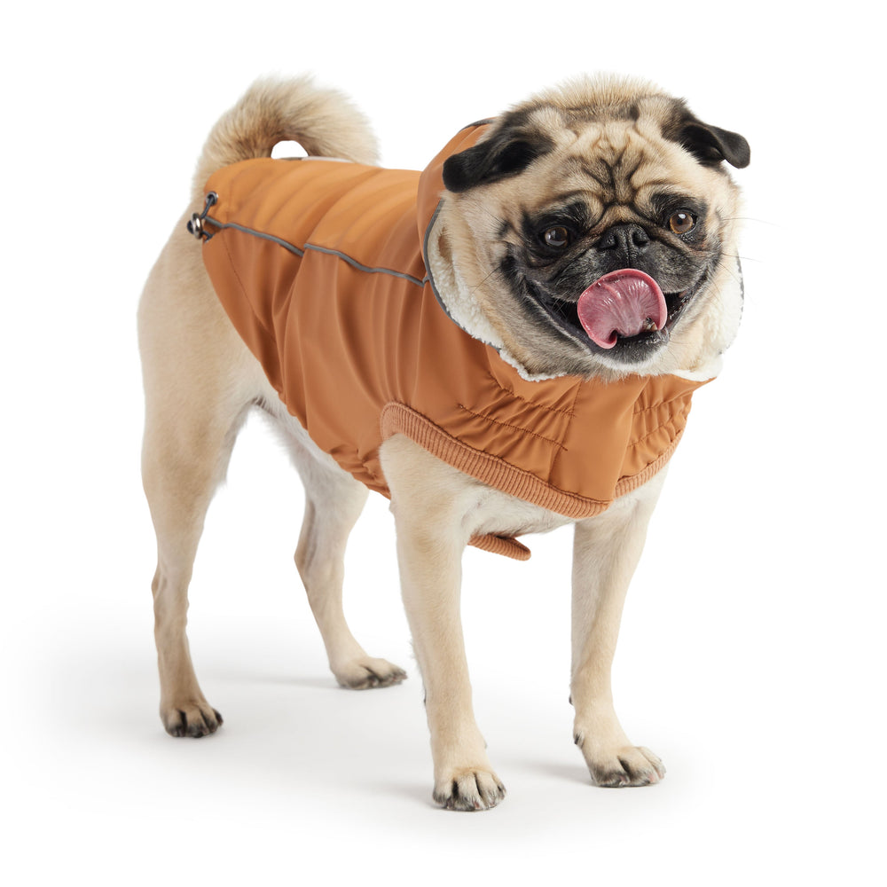 Thermal-Lined Hazel Raincoat – Rain & Cold Weather Defense in One
