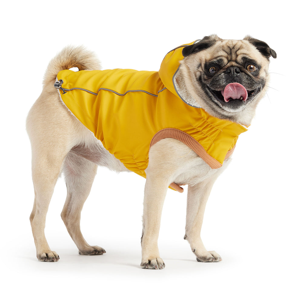 Thermal-Lined Yellow Raincoat – Rain & Cold Weather Defense in One