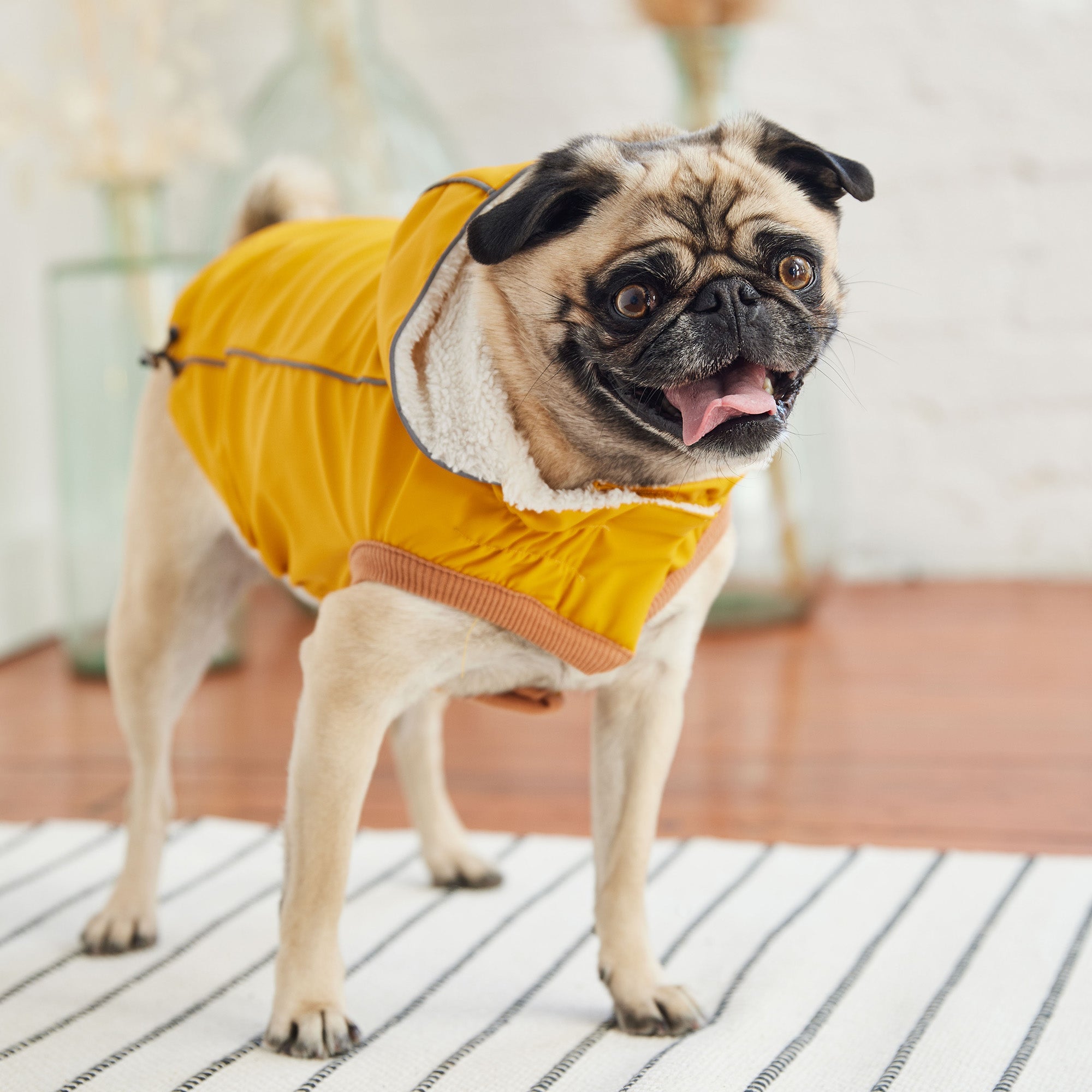Thermal-Lined Yellow Raincoat – Rain & Cold Weather Defense in One