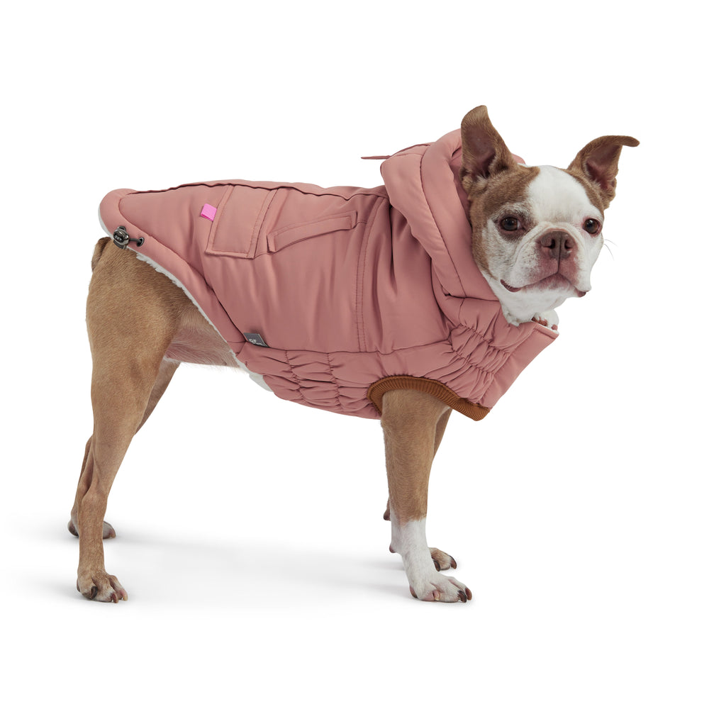 Clay Arctic Dog Parka - Cozy Winter Coat for Pets