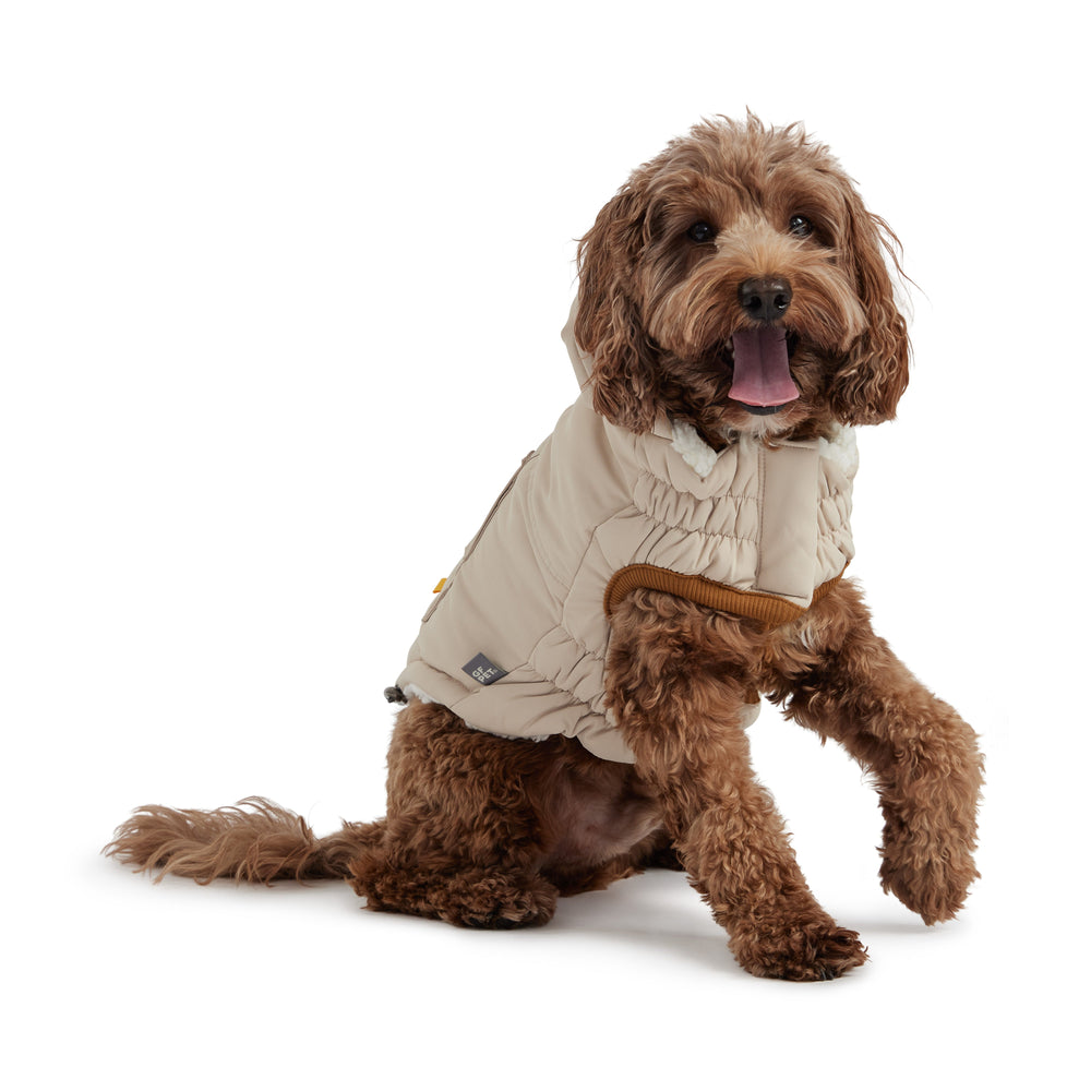 Sand Arctic Dog Parka - Cozy Winter Coat for Pets