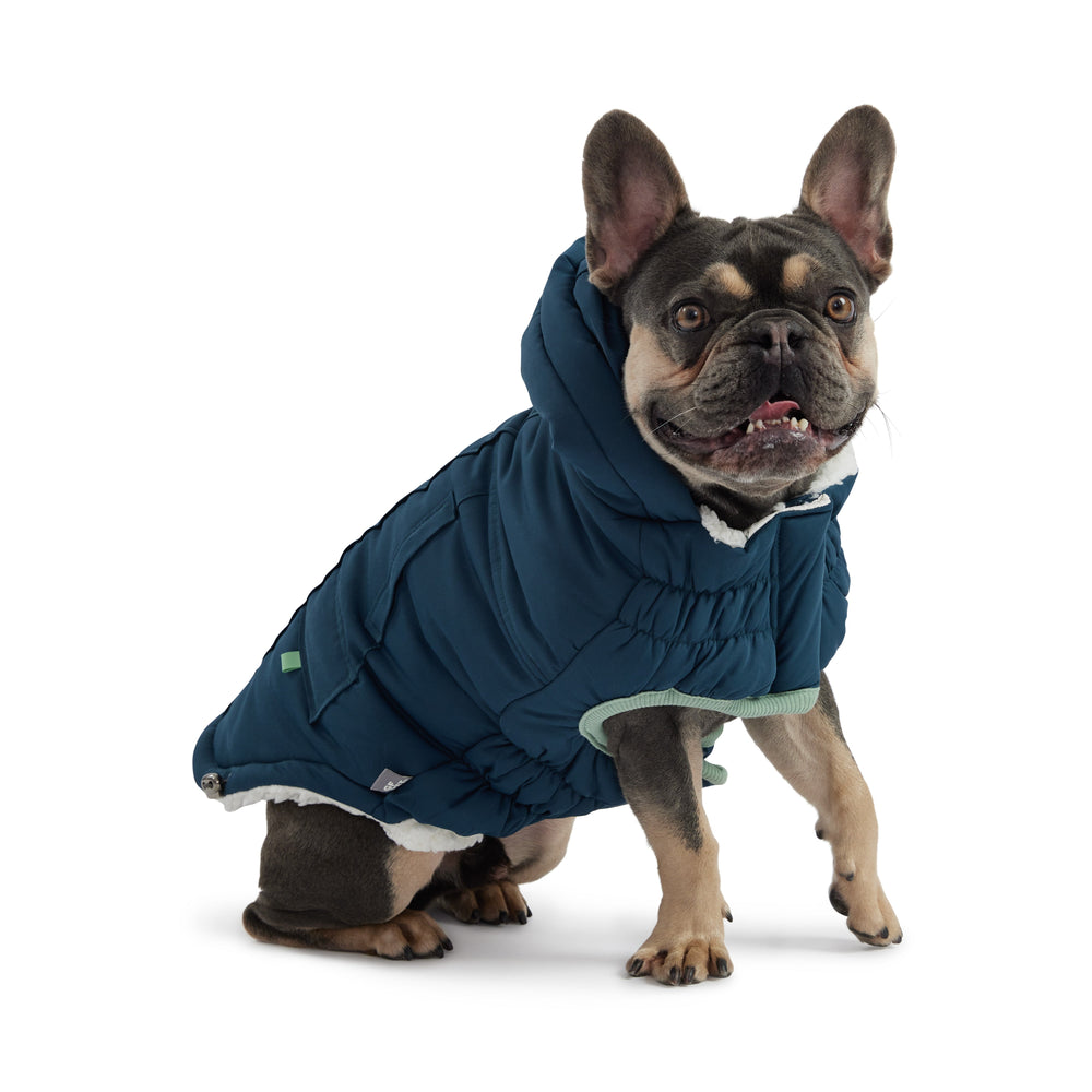 Teal Arctic Dog Parka - Cozy Winter Coat for Pets