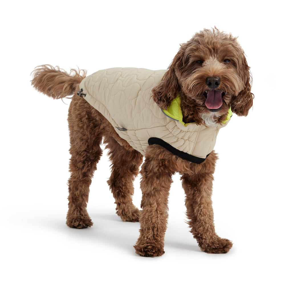 GF PET® Reversible Chalet Dog Jacket – Sand/Yellow, Elasto-FIT® & Water-Resistant