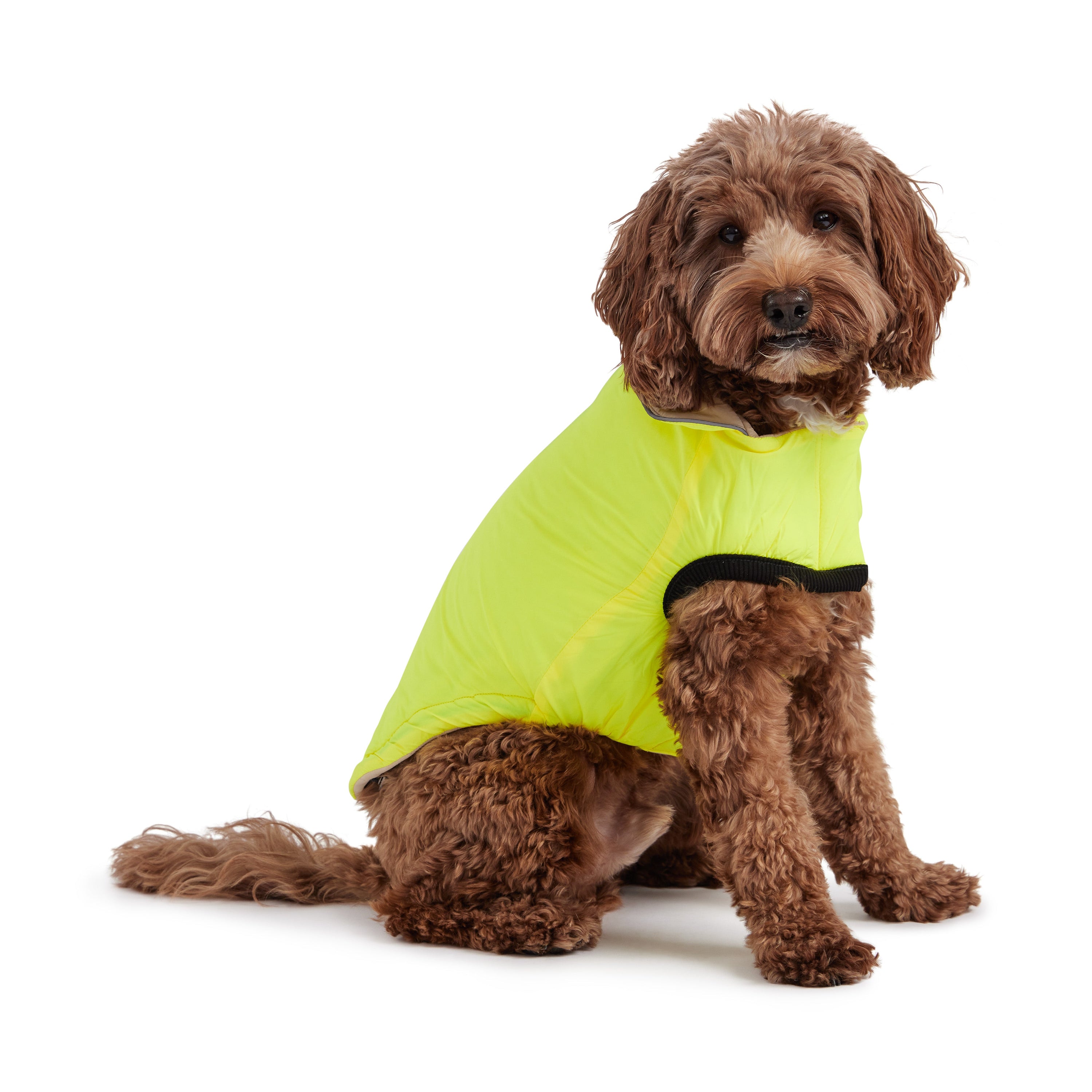 GF PET® Reversible Chalet Dog Jacket – Sand/Yellow, Elasto-FIT® & Water-Resistant