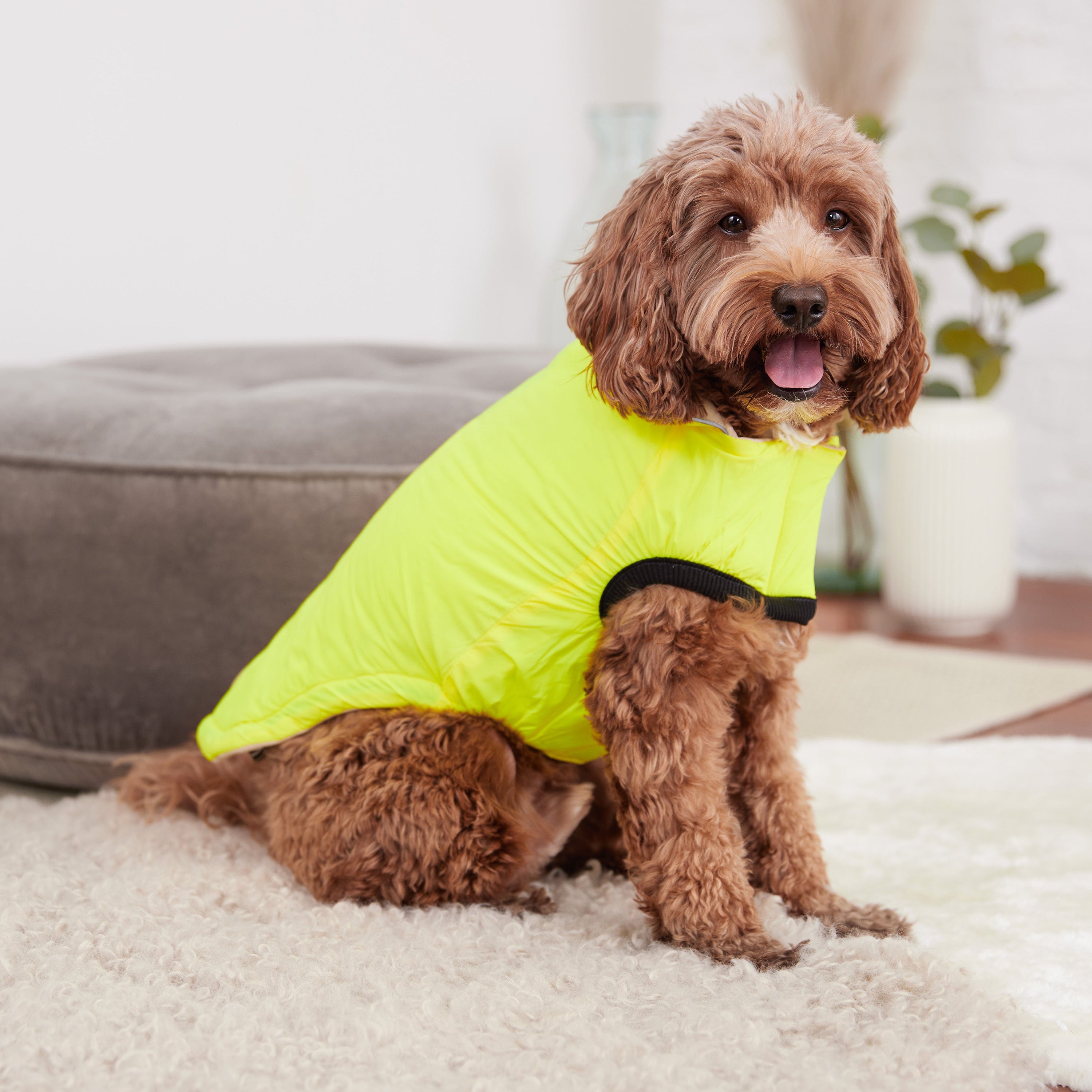 GF PET® Reversible Chalet Dog Jacket – Sand/Yellow, Elasto-FIT® & Water-Resistant