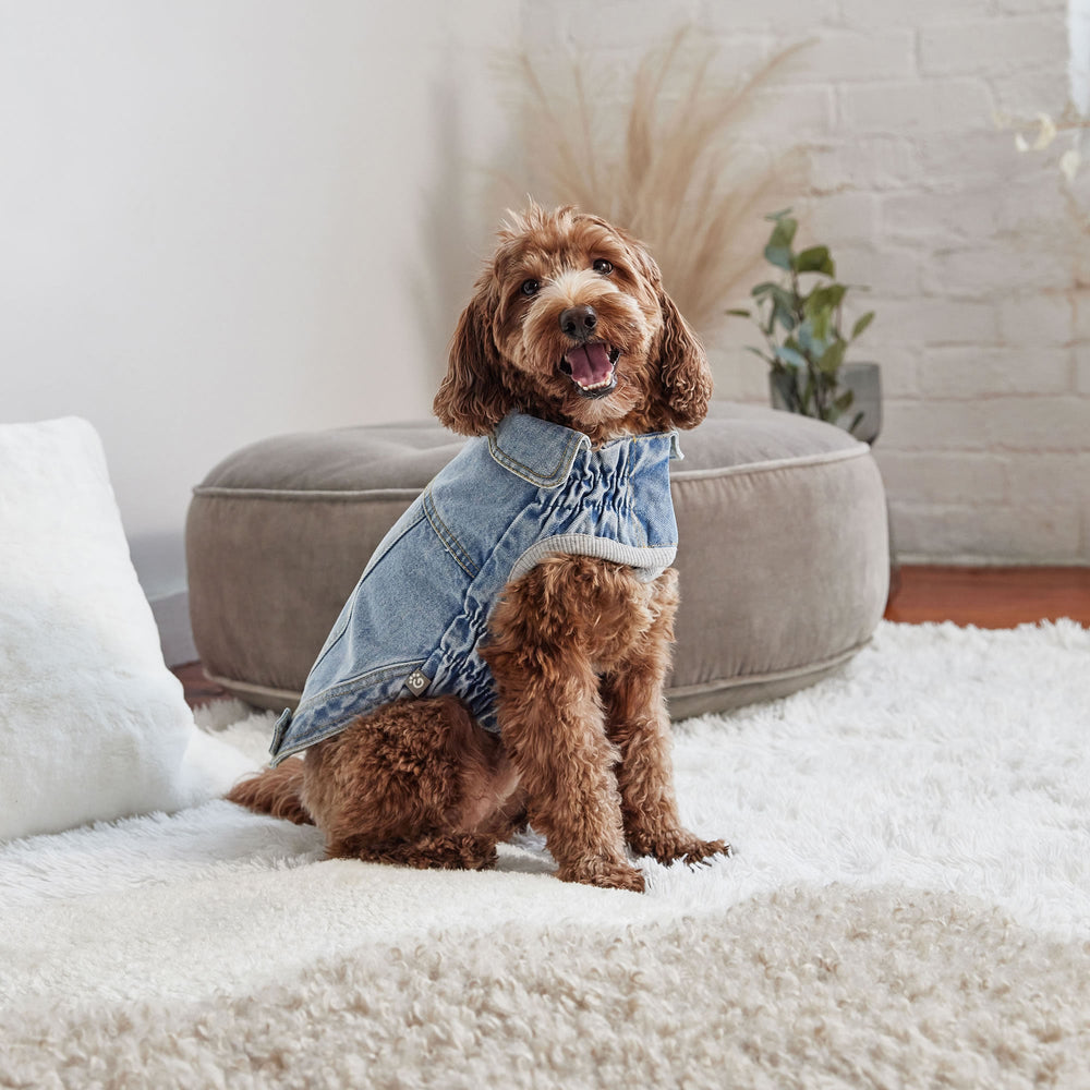 All-Season Light Wash Denim Dog Jacket – Adjustable Pet Coat with Elasto-Fit® for Perfect Comfort Fit