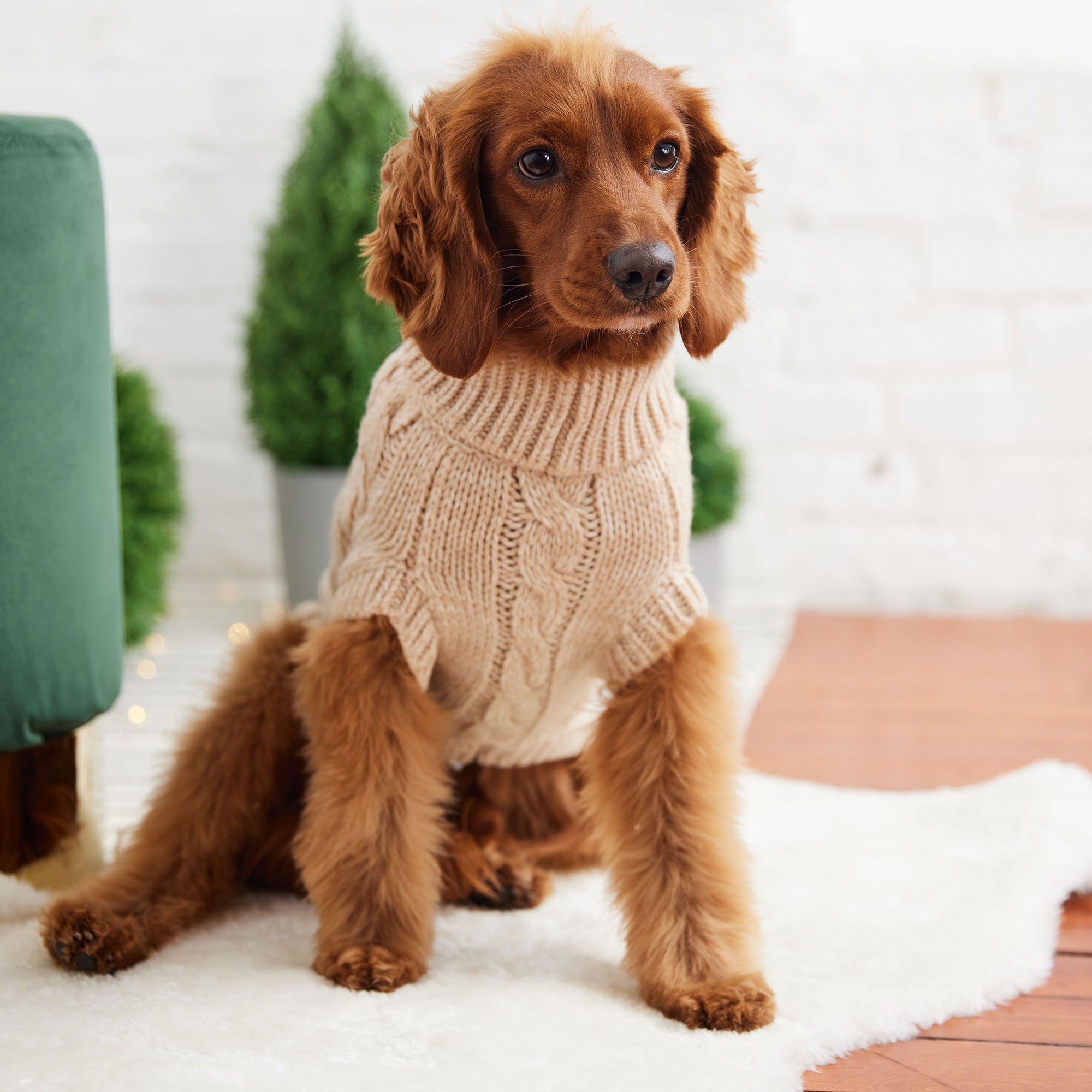 Oatmeal Knit Dog Sweater – Cozy Winter Turtleneck Pet Apparel for Small & Large Dogs
