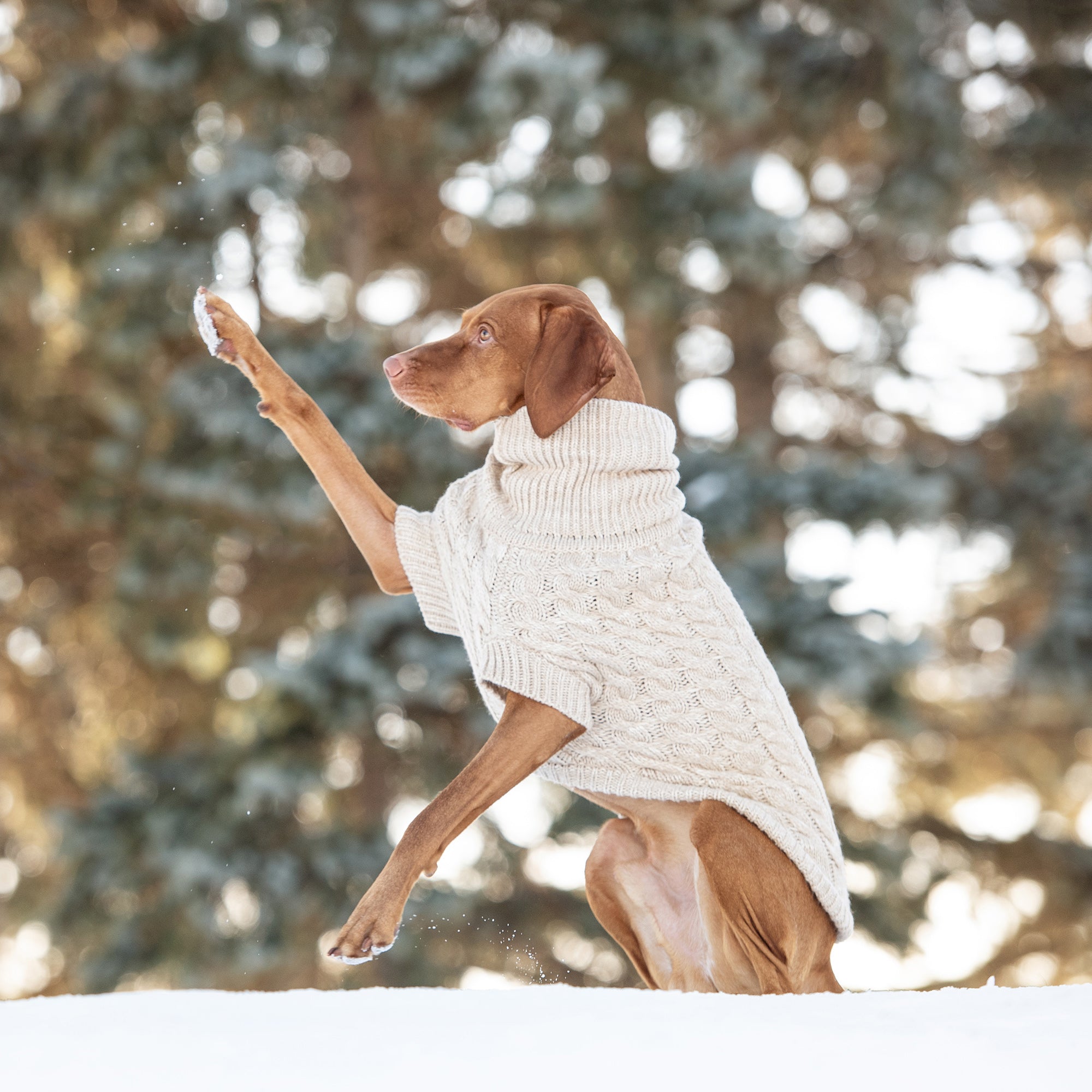 Oatmeal Knit Dog Sweater – Cozy Winter Turtleneck Pet Apparel for Small & Large Dogs