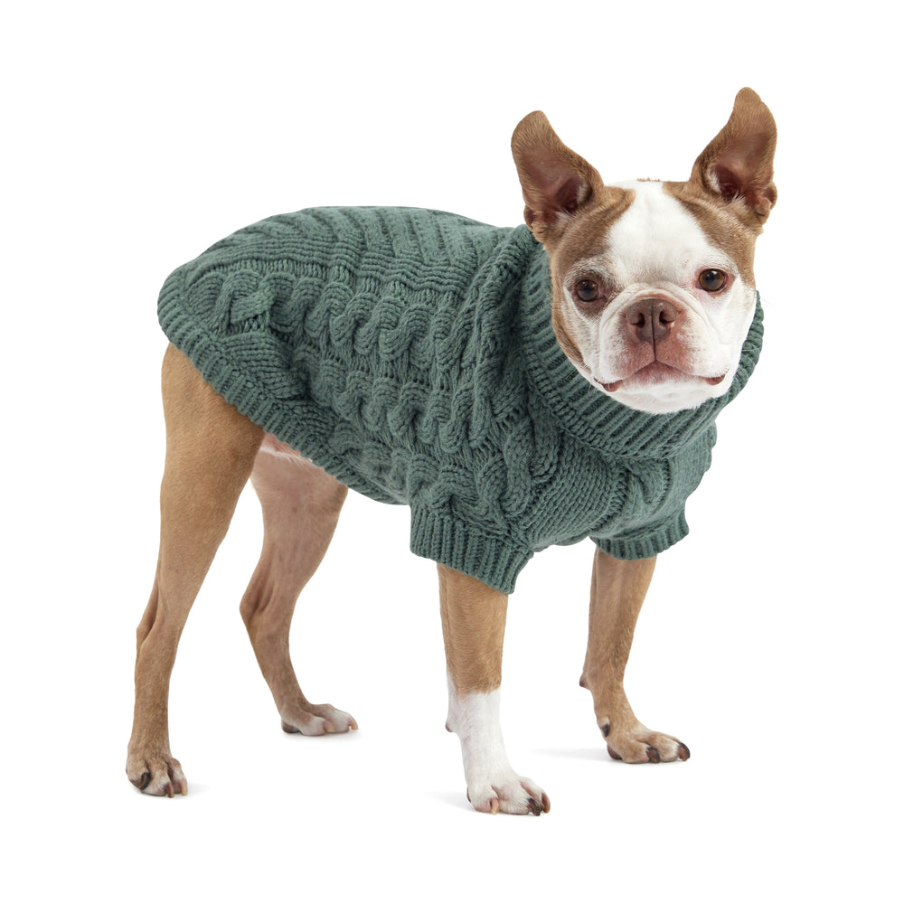 Sage Knit Dog Sweater – Cozy Winter Turtleneck Pet Apparel for Small & Large Dogs