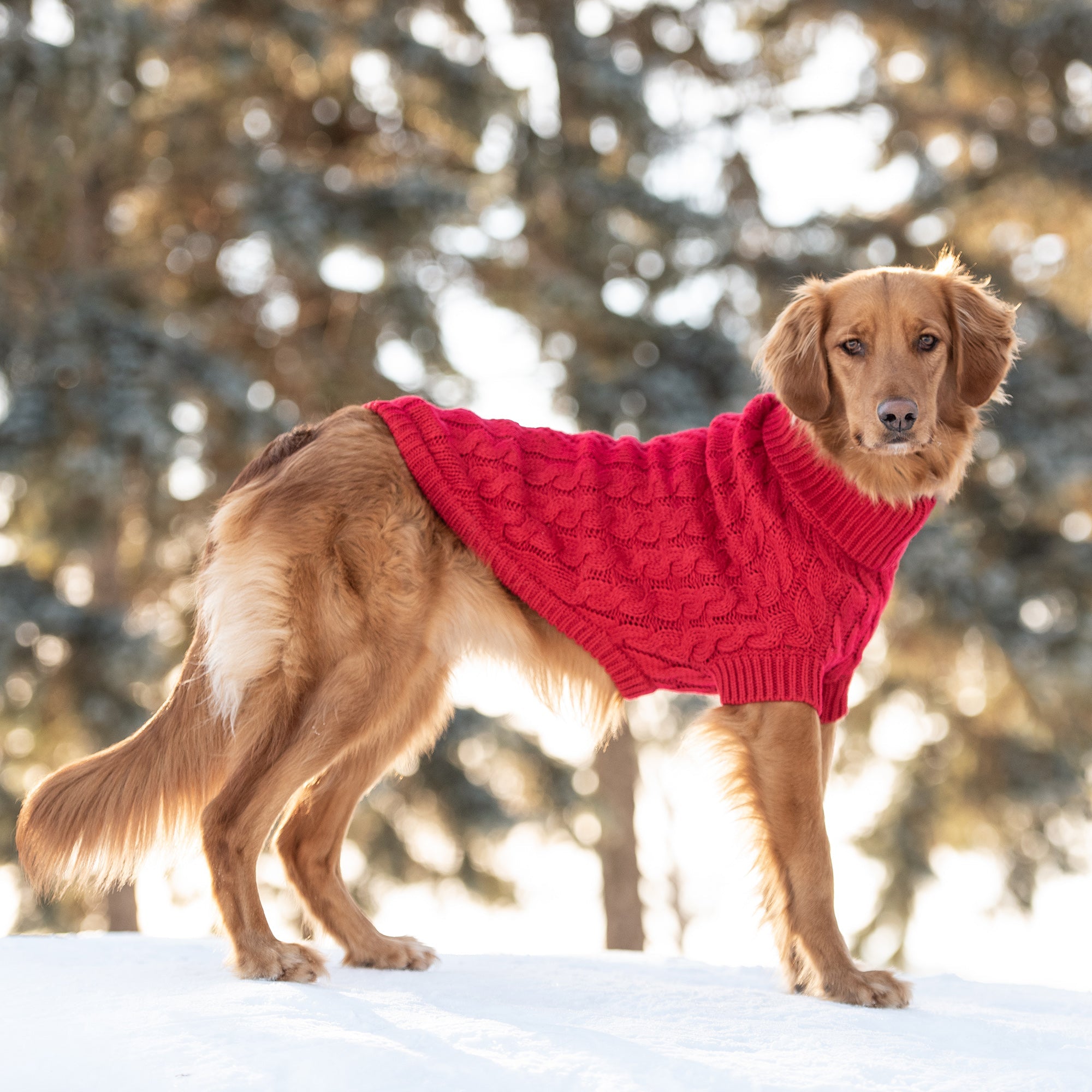 Red Knit Dog Sweater – Cozy Winter Turtleneck Pet Apparel for Small & Large Dogs