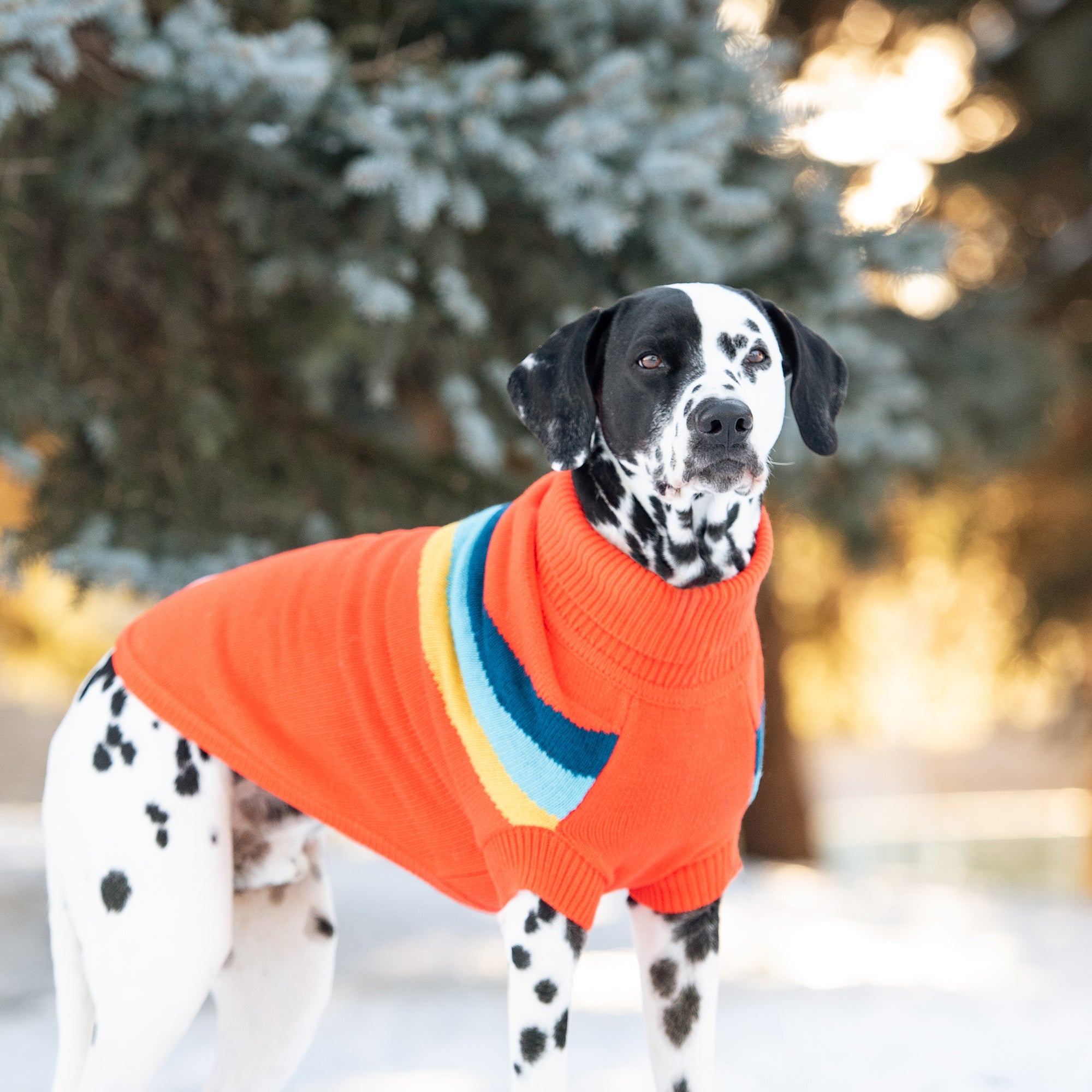 Stylish Alpine Dog Sweater - Orange Turtleneck Pet Apparel