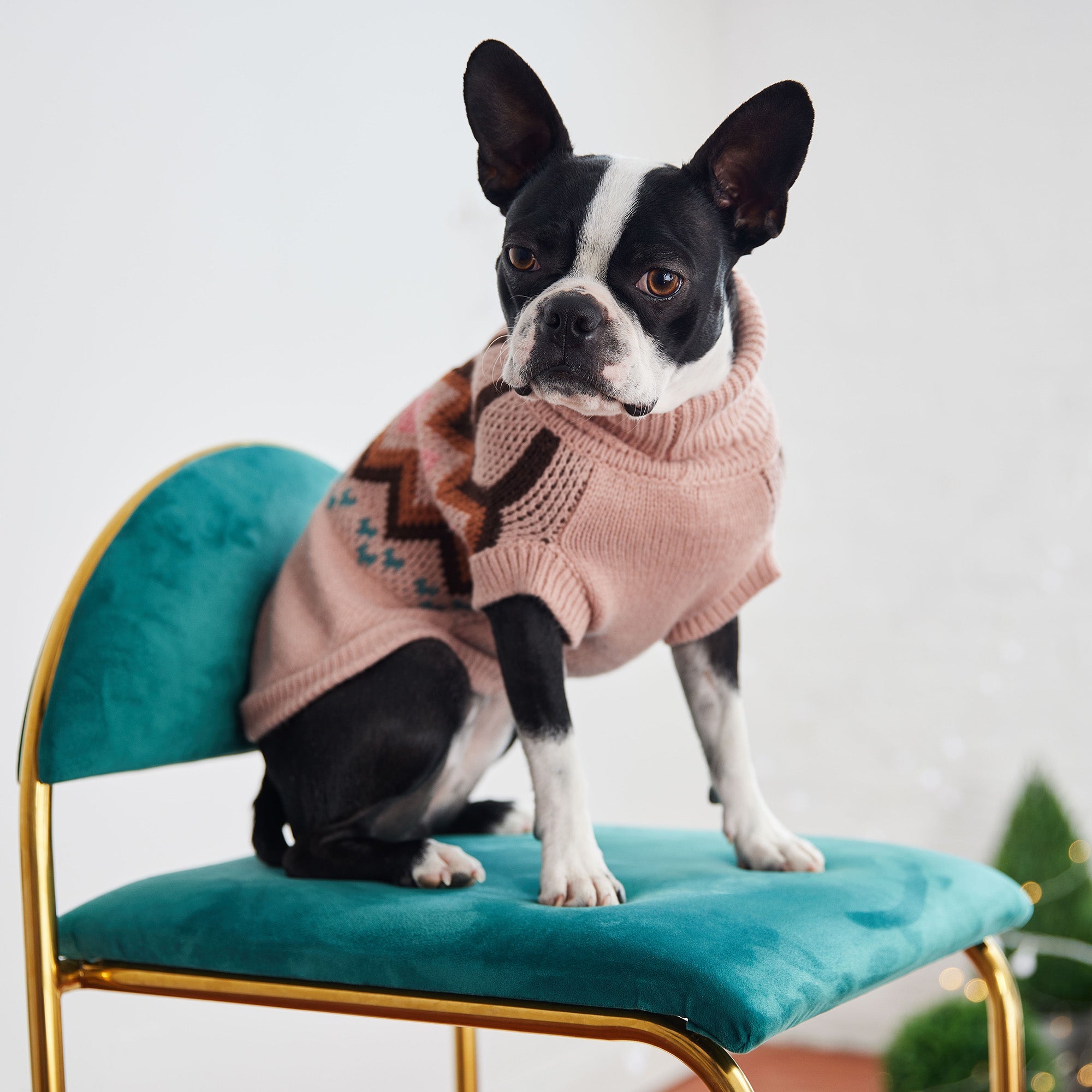 Heritage Turtleneck Dog Sweater - Pink