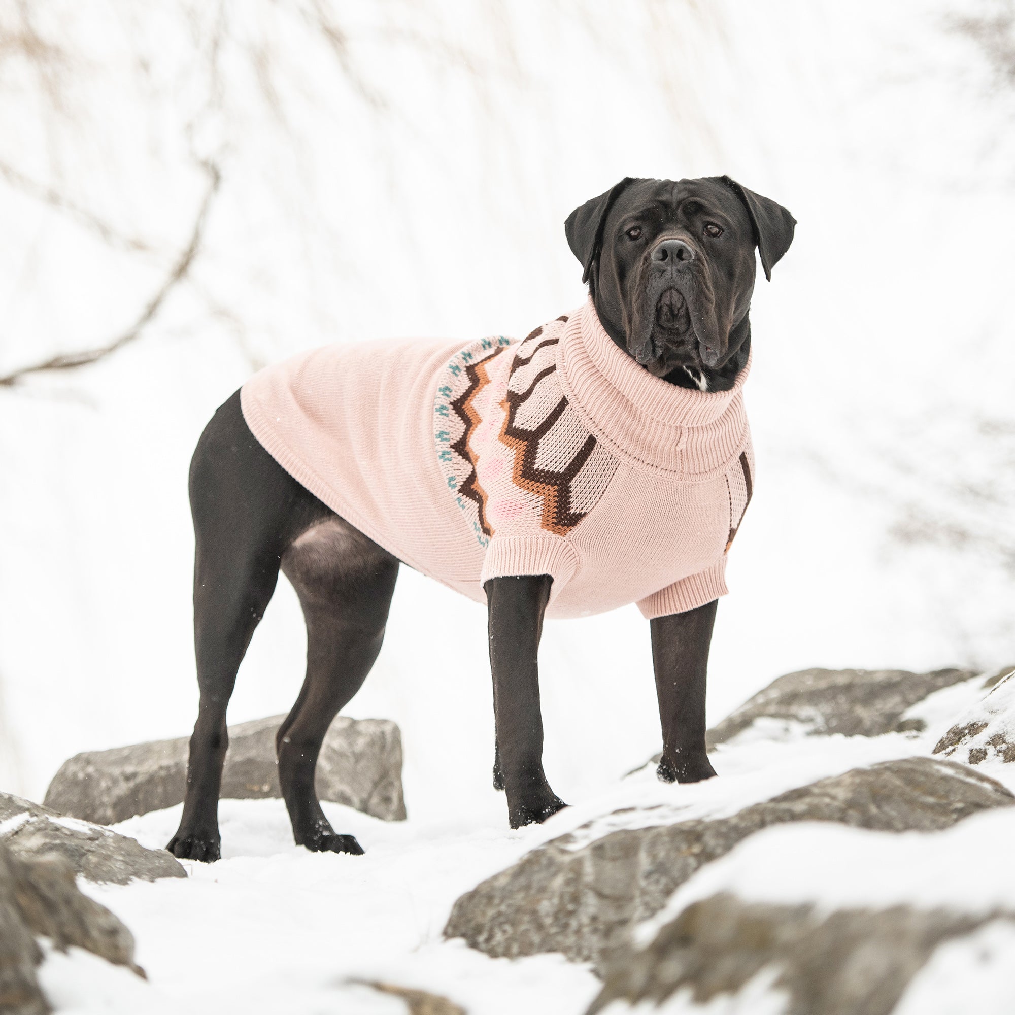 Heritage Turtleneck Dog Sweater - Pink