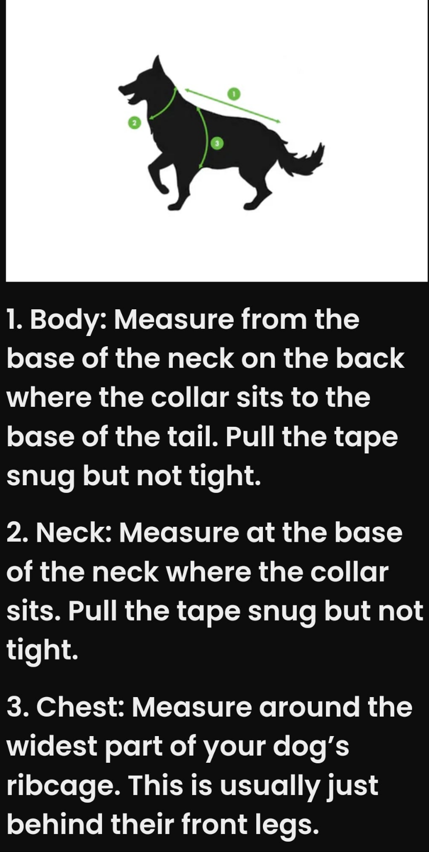 The Dog Face® Ridge Runner Tank– Adventure-Ready Canine Comfort (White)