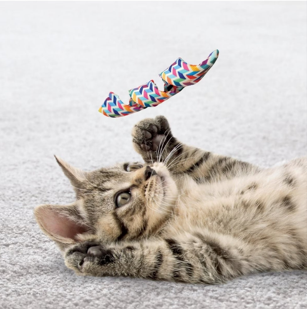 Discover the KONG Cat Active Curlz Cat Toy: Perfect for Playtime