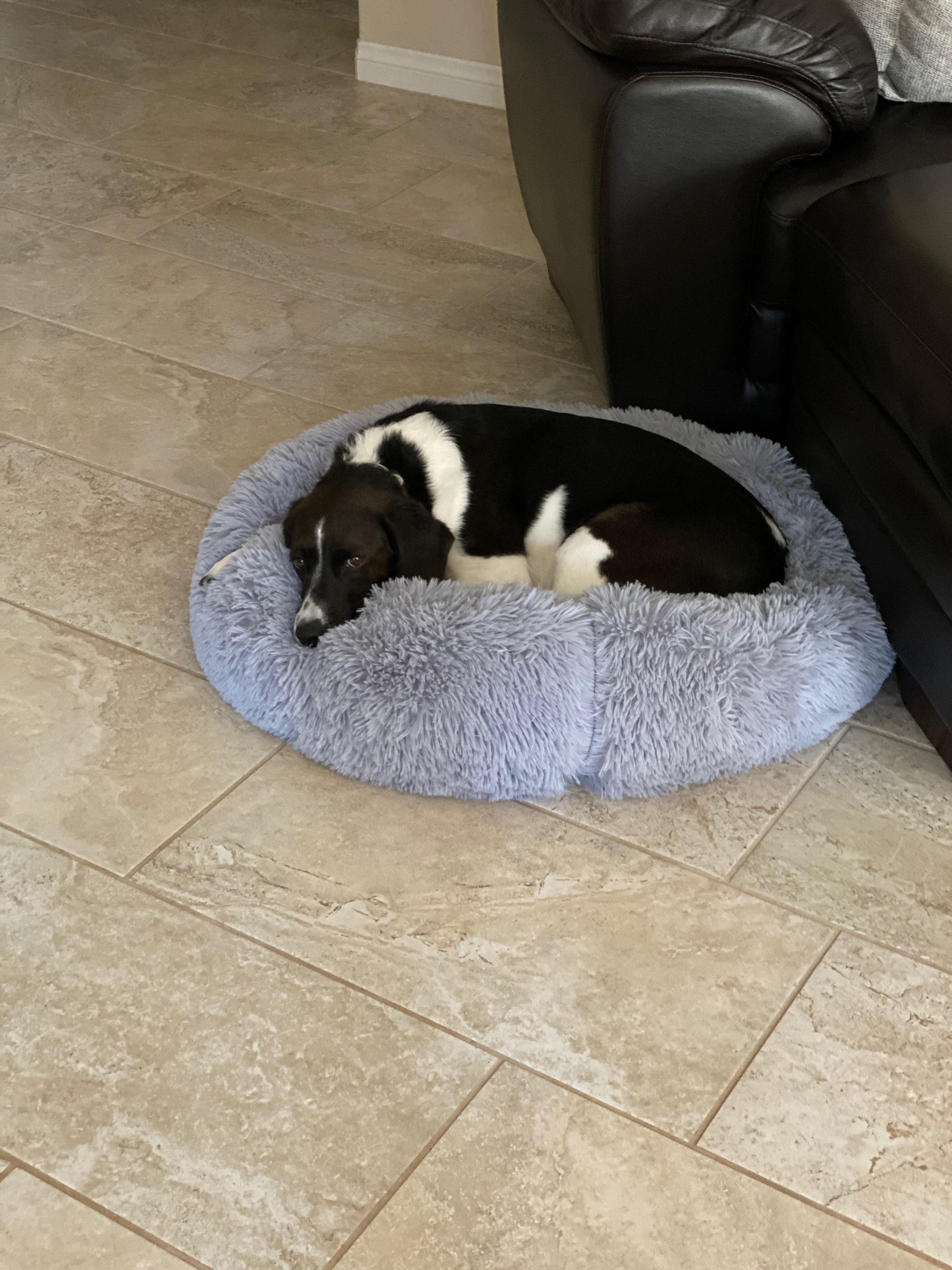 Mr. Peanut’s OrthoPlush® 23" Orthopedic Pet Bed – Luxuriously Soft, Vet-Designed Support for Dogs & Cats