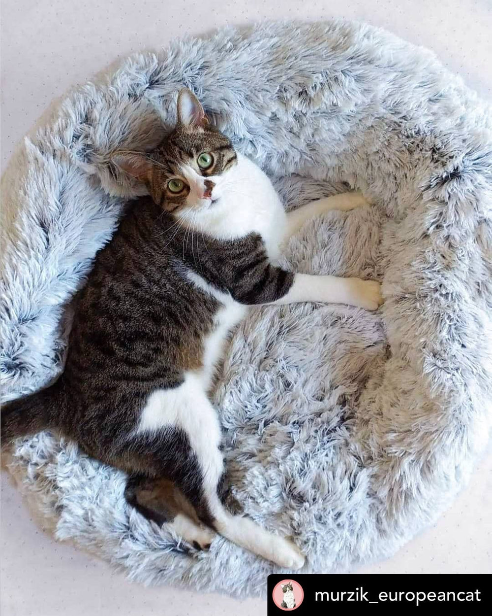 Mr. Peanut’s OrthoPlush® 28" Orthopedic Pet Bed – Luxuriously Soft, Vet-Designed Support for Dogs & Cats