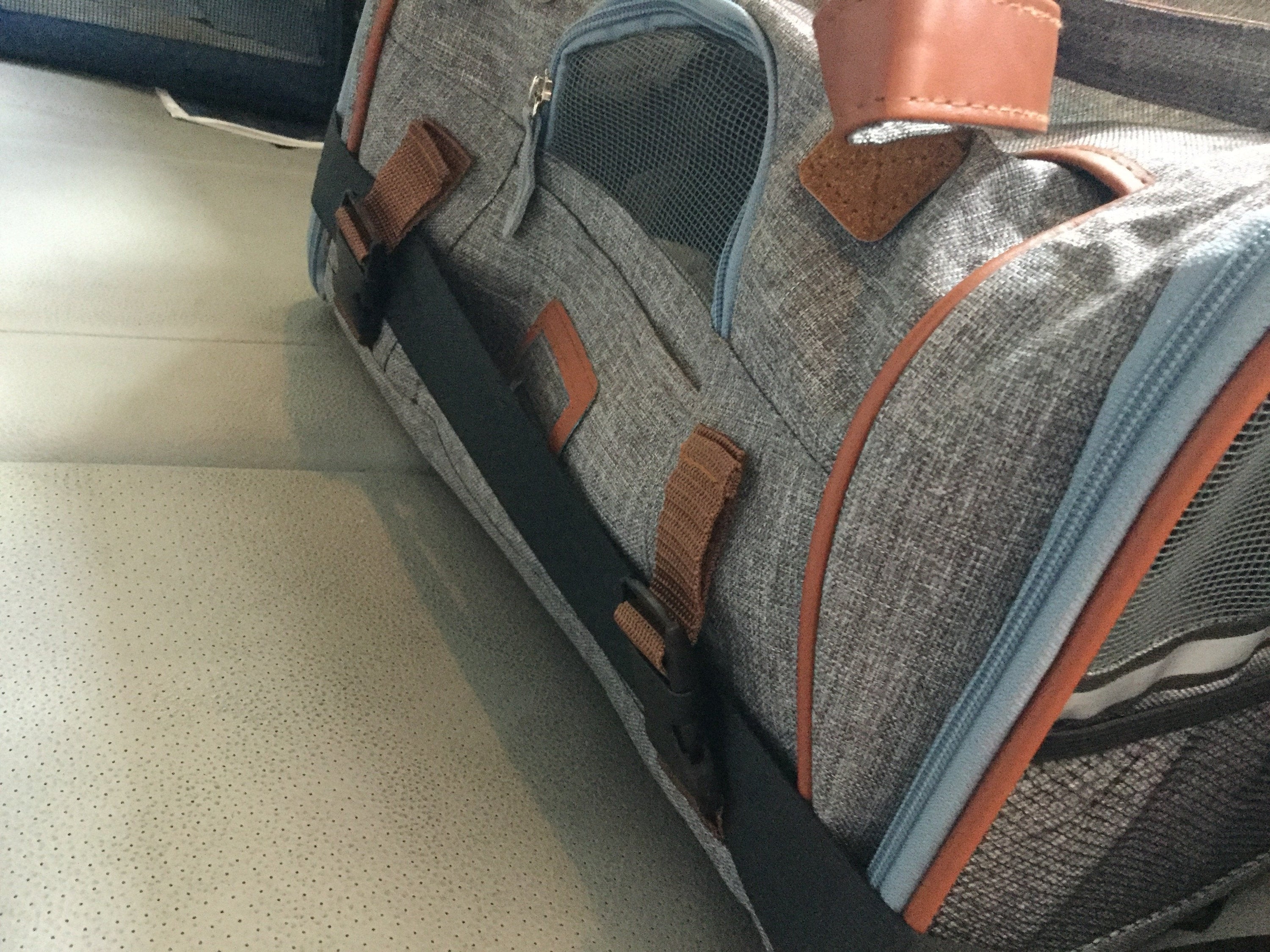 Mr. Peanut's Gold Series Airline Approved Pet Carrier – Soft-Sided Travel Tote for Cats & Small Dogs, Fits Under Airline Seats