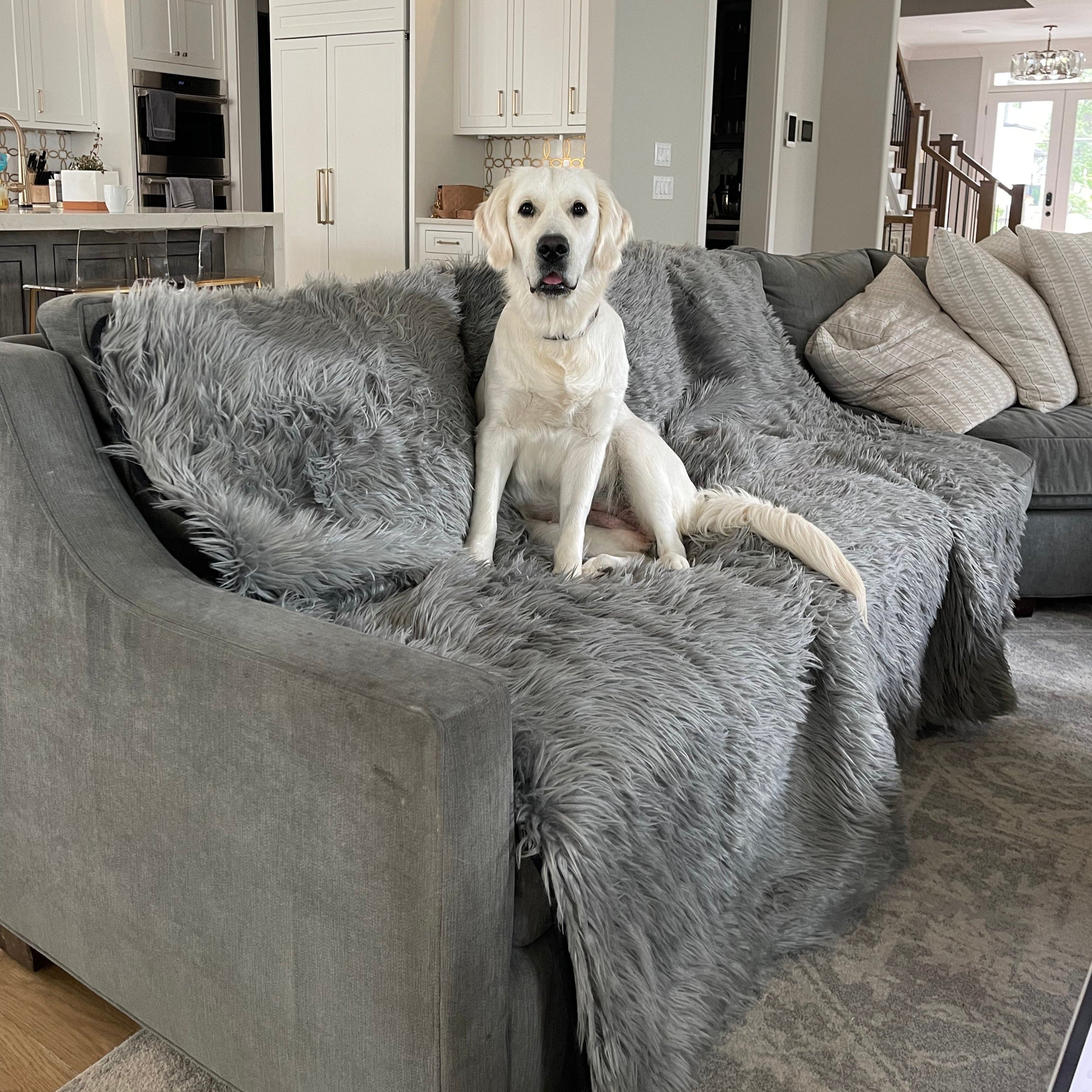 PupProtector™ Waterproof Dog Blanket – Durable, Washable, Throw Furniture Protector for Pets - Charcoal Grey