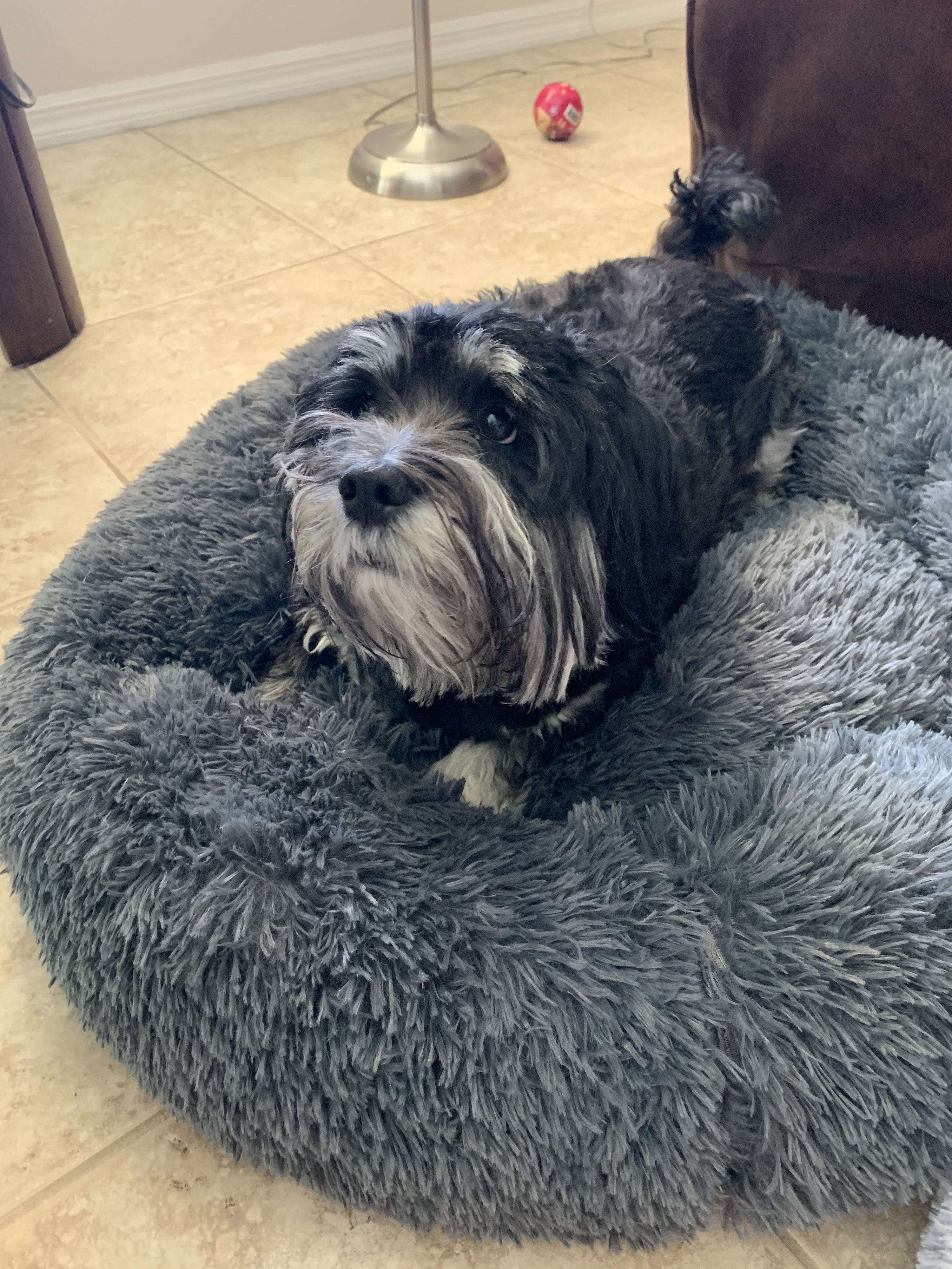 Mr. Peanut’s OrthoPlush® 23" Orthopedic Pet Bed – Luxuriously Soft, Vet-Designed Support for Dogs & Cats