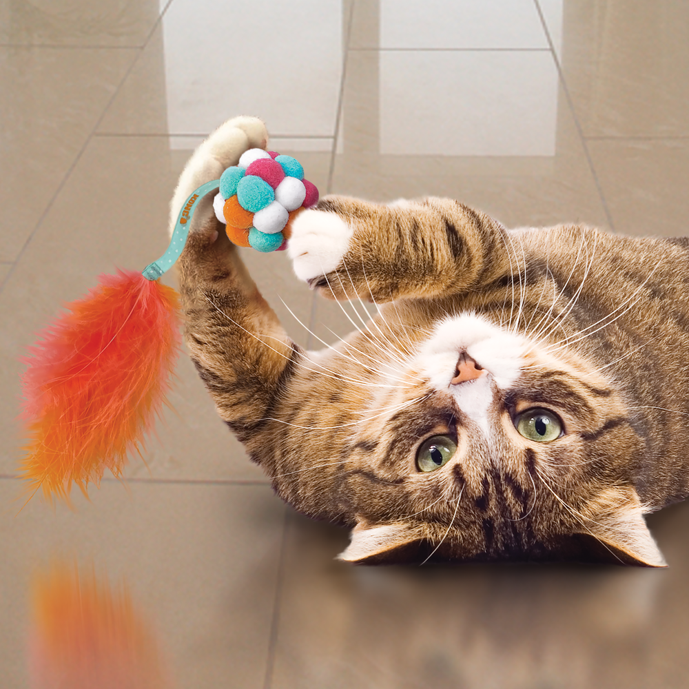 KONG® Active Bubble Ball – Feather & Bell Cat Toy for Bat-and-Chase Fun