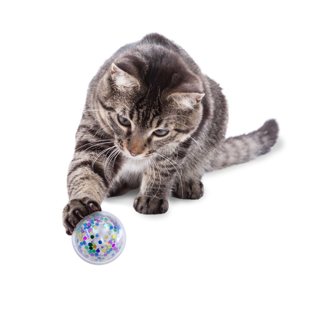 KONG Cat Active Confetti Ball – Rattling, Rolling Toy for Sensory Play