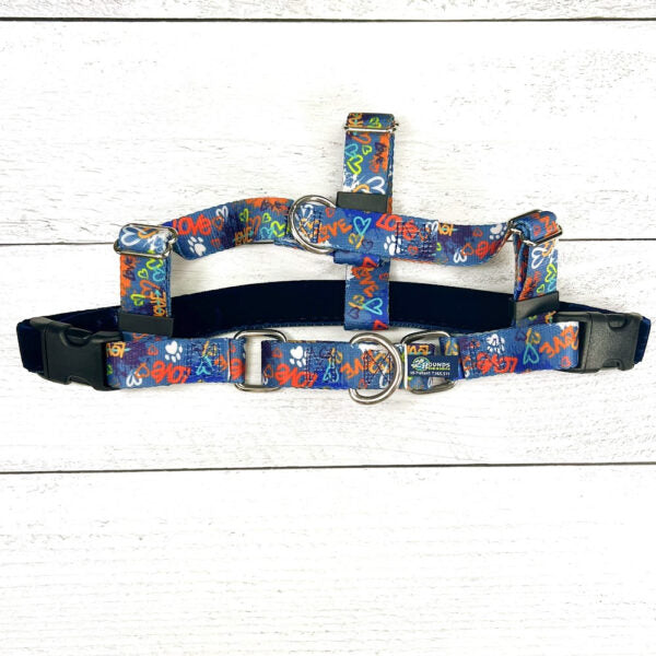 Freedom No-Pull Harness Bundle – Love Graffiti Blue with Matching Leash & Accessories