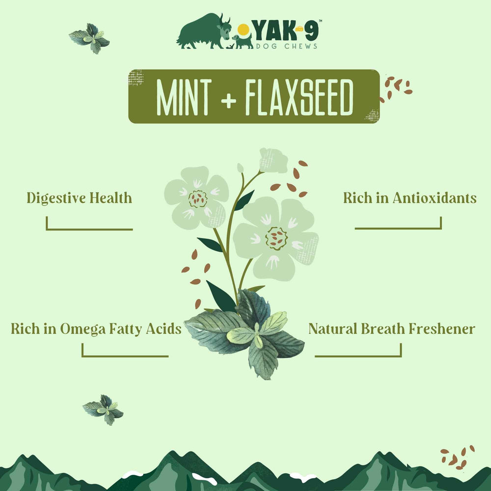 Yak9 Flaxseed & Mint Yak Cheese Dog Chews – Long-Lasting Natural Chews for Digestion & Fresh Breath