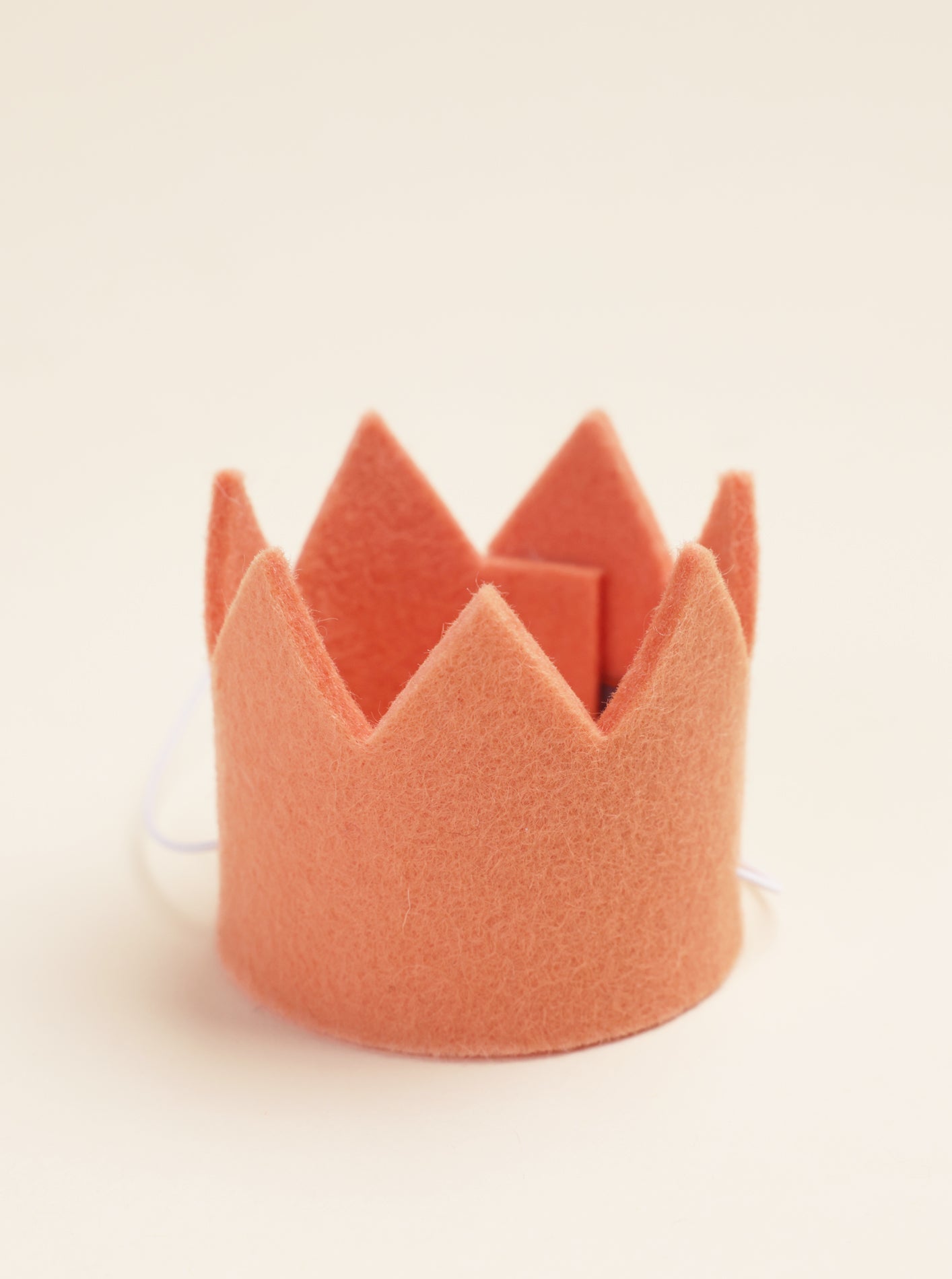 Neutral Pet Party Crowns – Stylish Soft Tones for Dogs & Cats