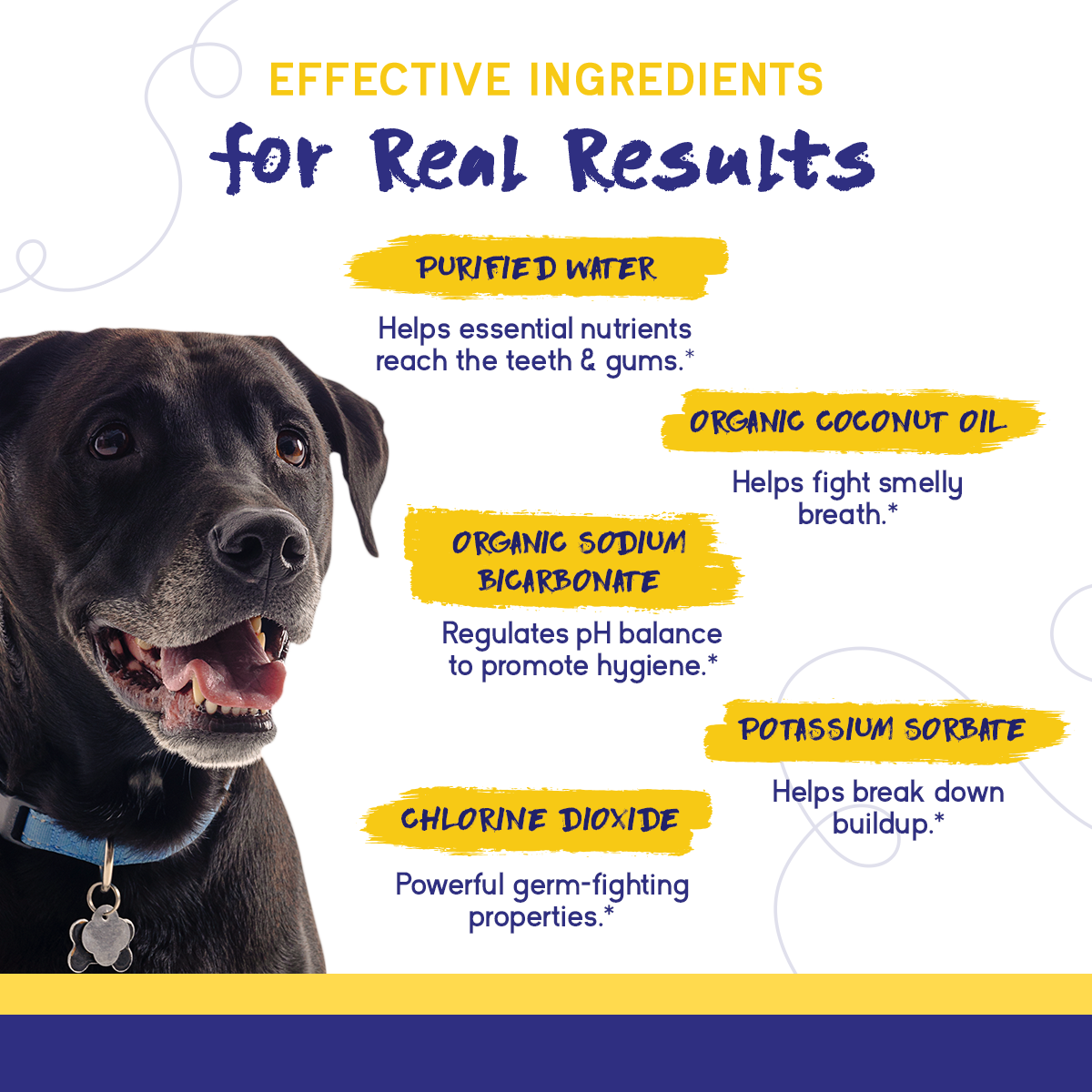Organic Dental Care Solution for Dogs – Fresh Breath & Plaque Control