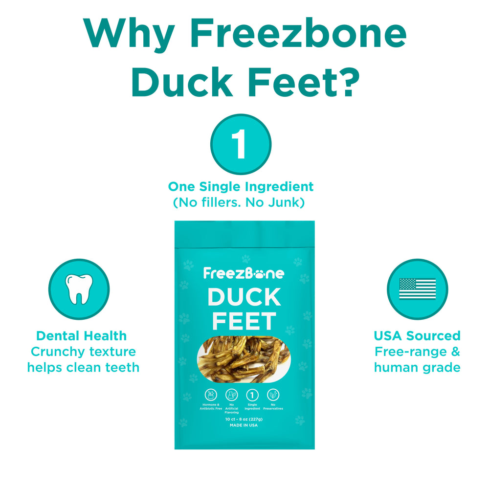 Freezbone Whole Duck Feet Dental Treats for Dogs – Human Grade, Single Ingredient