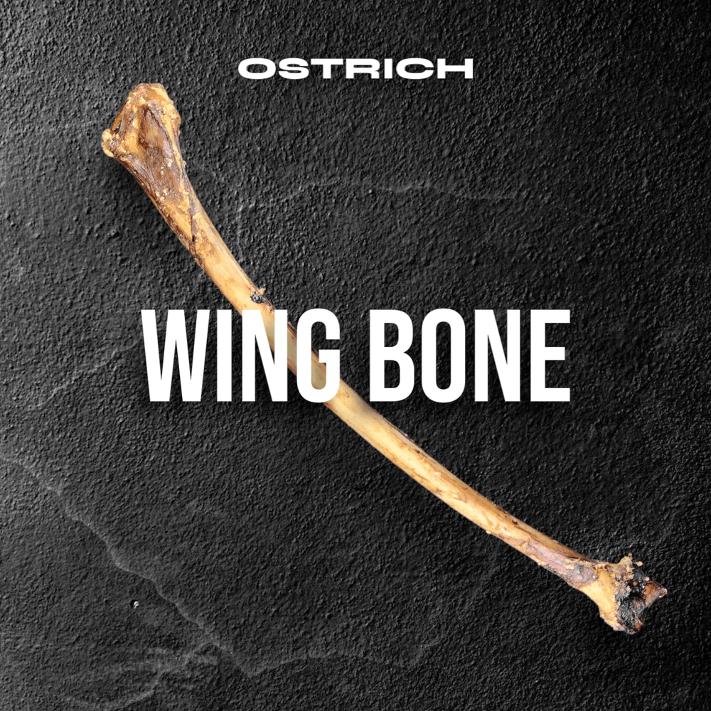 Ostrich Wing Bone for Small Dogs โ 13" Hypoallergenic Long-Lasting Chew
