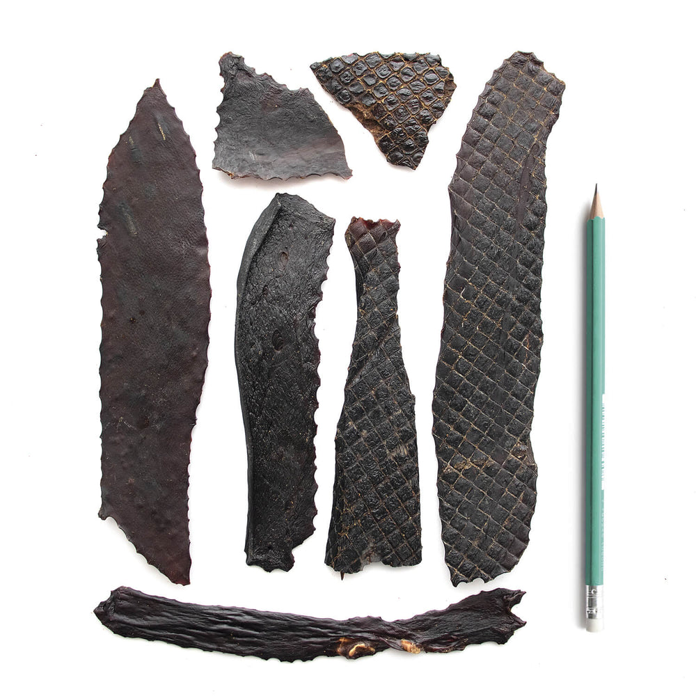 SuperCan Liver Fillets Dog Treats | Natural Source of Vitamin B6, B12, Iron & Zinc (6oz)