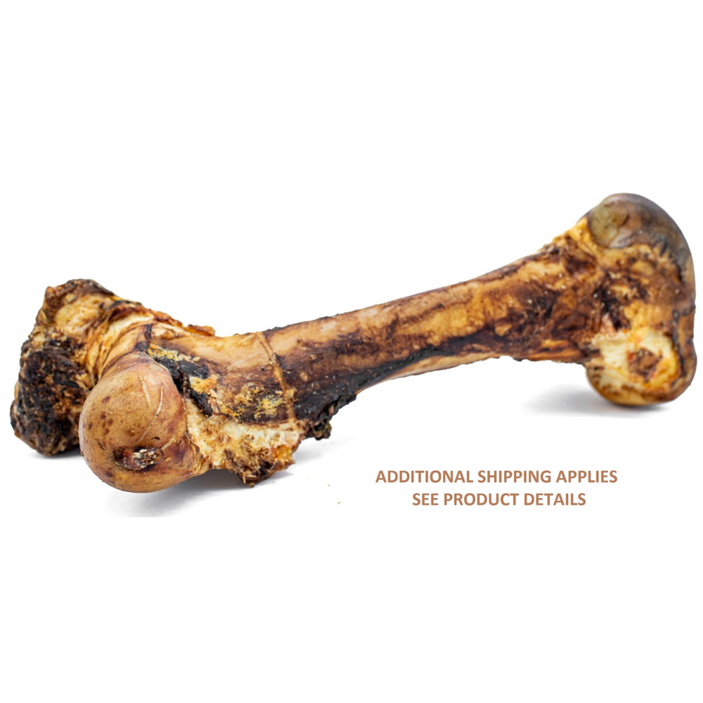 Monster Beef Shin Bone for Dogs – Long-Lasting Chew for Large Breeds