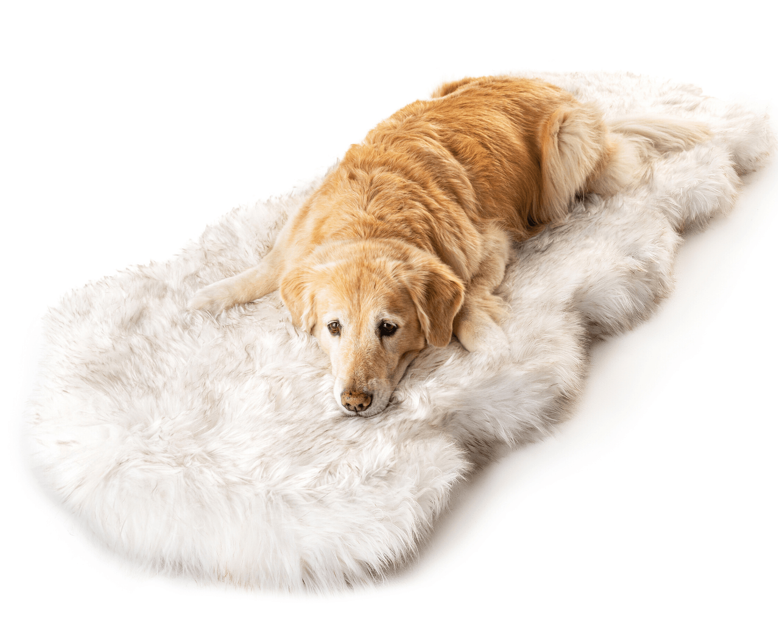 PupRug™ Runner Faux Fur Memory Foam Washable Luxury Pet Bed - White Curve Design with Brown Accents
