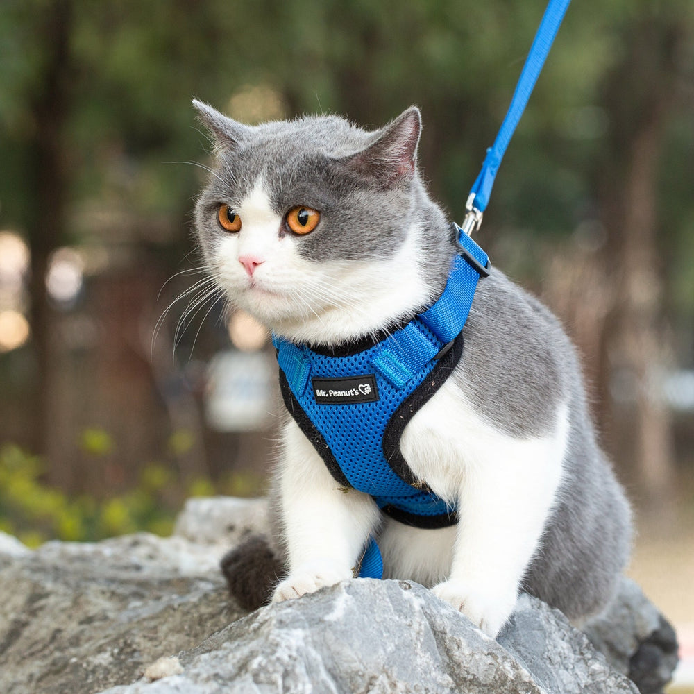 Reflective Cat Harness and Leash Set by Mr. Peanut’s – PurrTrek Escape-Proof Comfort