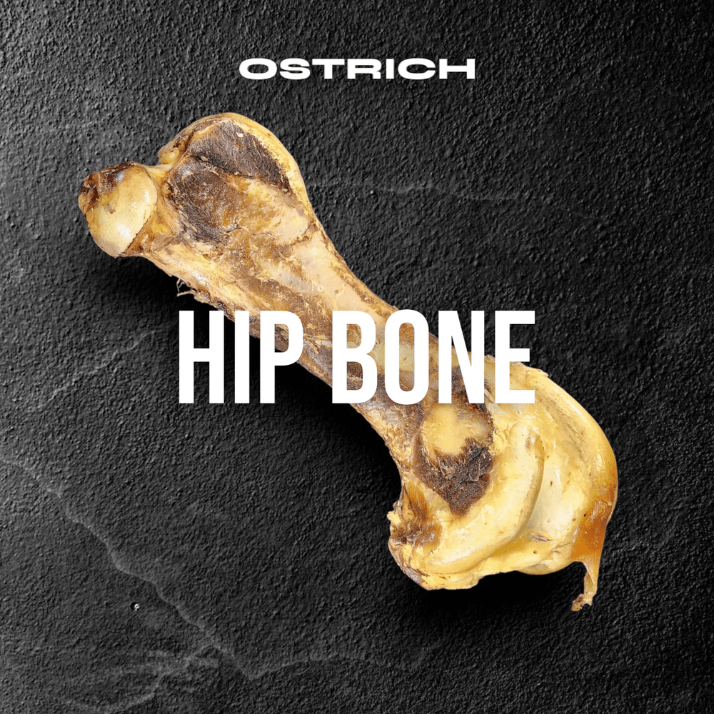 Ostrich Hip Bone for Dogs (12" x 5" x 3") – Long-Lasting, Hypoallergenic Chew for Medium & Large Breeds