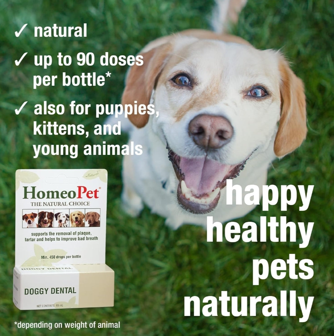 HOMEOPET Doggy Dental 15ml: Effective Oral Care Solution for Dogs