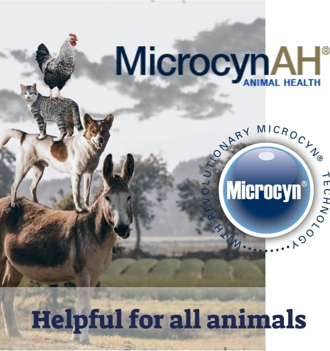 Soothe Your Pet's Itchy Skin: Discover MICROCYN AH Anti-Itch Hydrogel