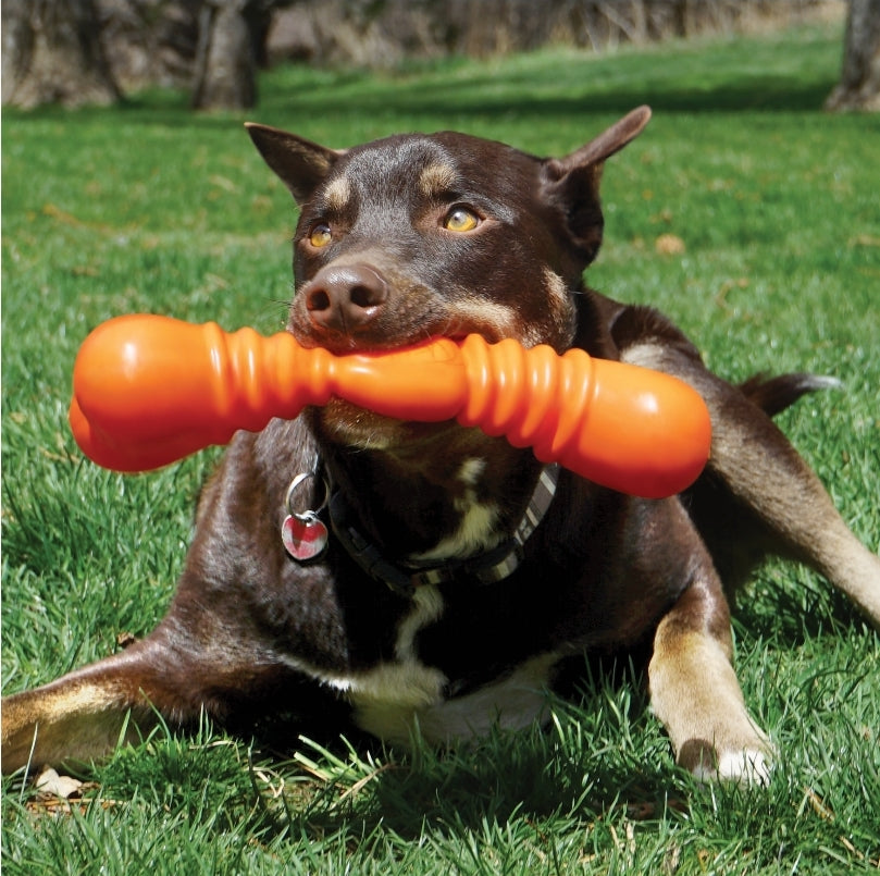 KONG SqueakStix Wigglerz: The Ultimate Durable, Safe, and Fun Fetch Toy for Dogs (2 pack)
