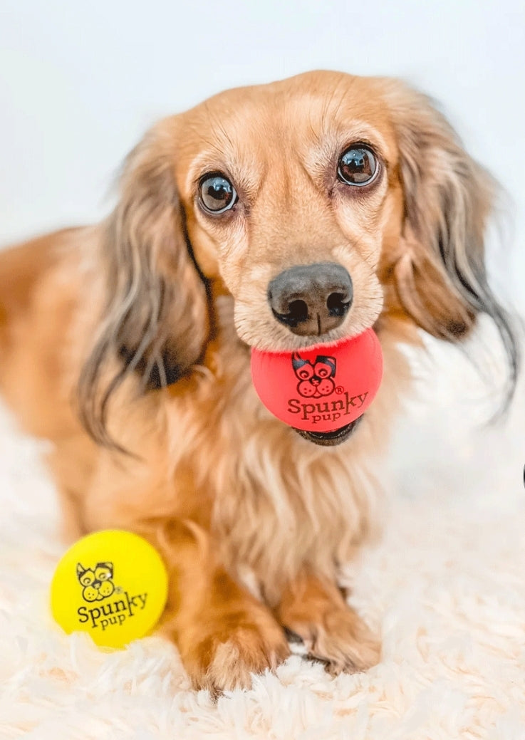 SPUNKY Pup Fetch & Glow Ball S 2pk a Active Toy for your Dog