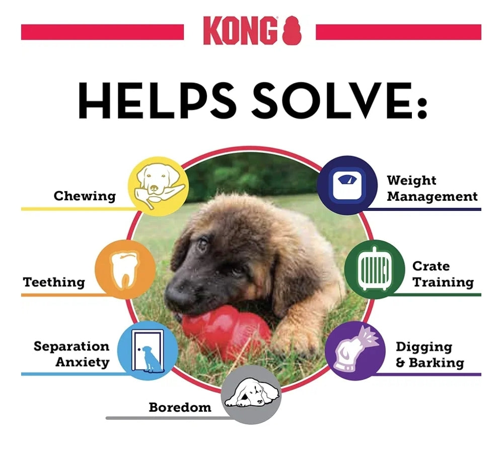 KONG Senior Dog Toy- Gentle Chew for Aging Dogs