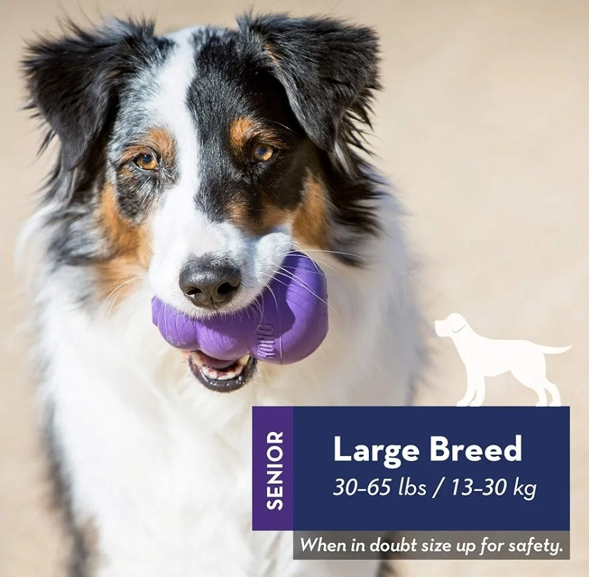 KONG Senior Dog Toy- Gentle Chew for Aging Dogs