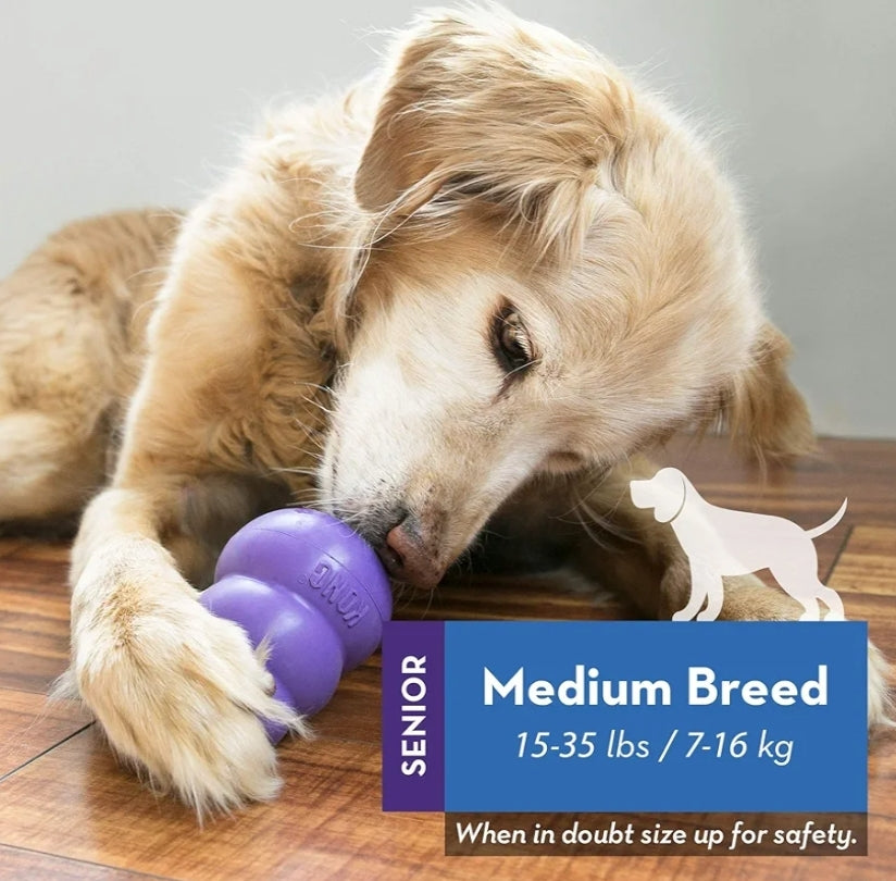 KONG Senior Dog Toy- Gentle Chew for Aging Dogs