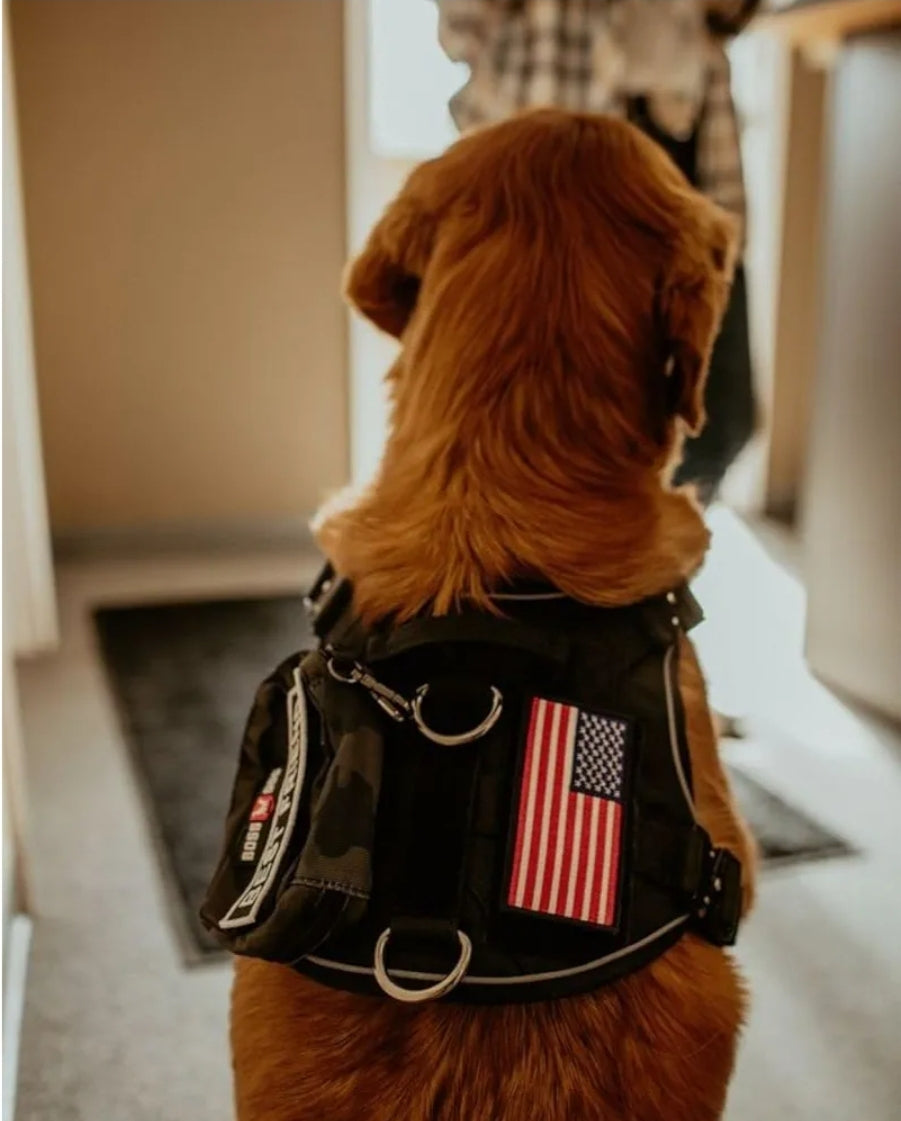 Boss Dog Tactical Harness Patch - USA Full Color, (6-Pack)